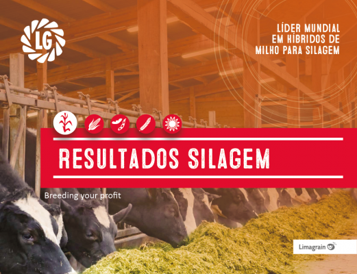 Folder de Resultados de Silagem - Regional Minas Gerais