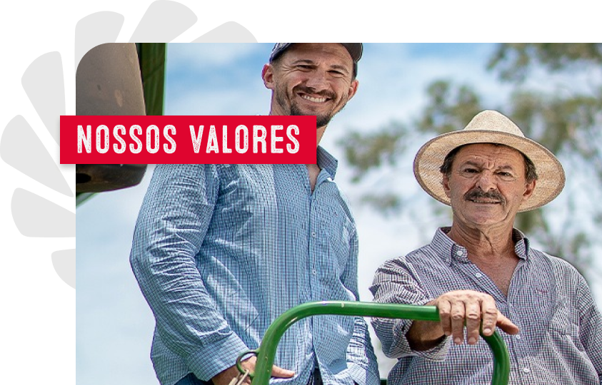 Agricultores no campo