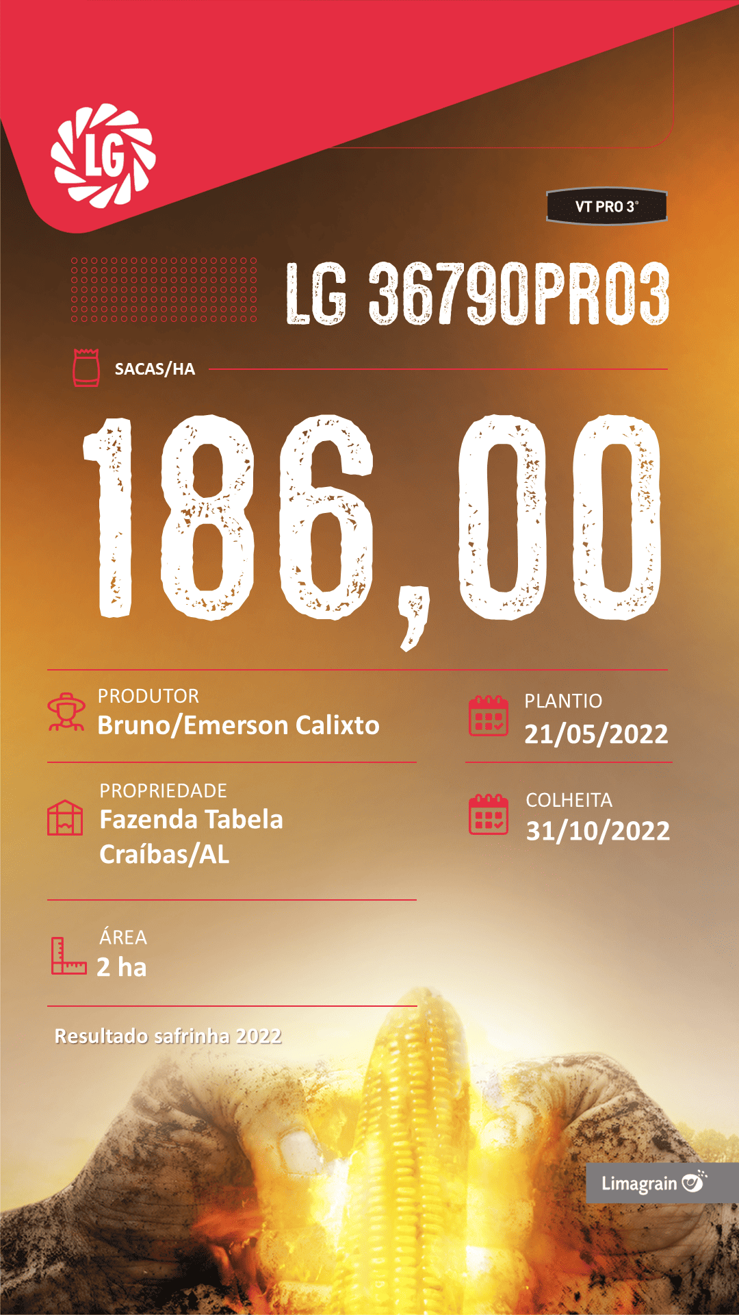 resultado-de-produtividade