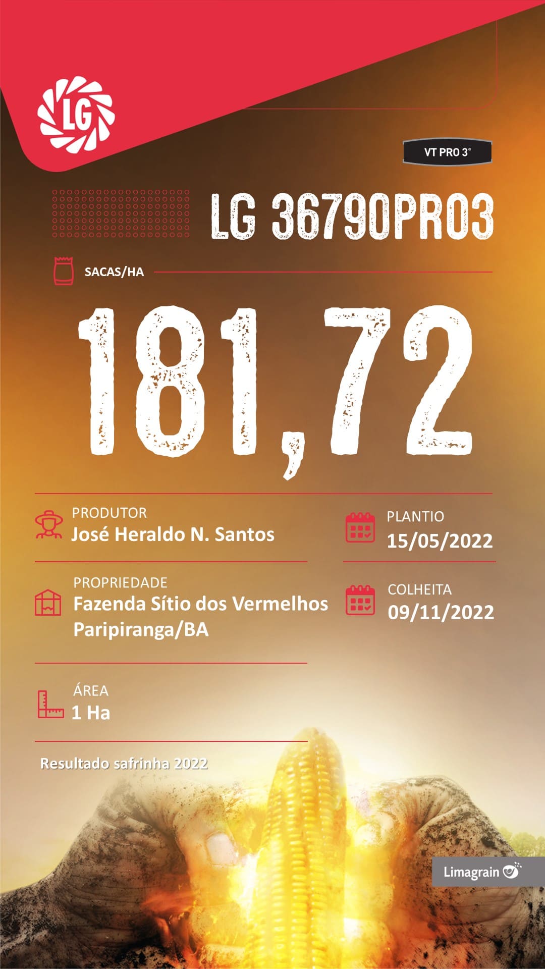 resultado-de-produtividade