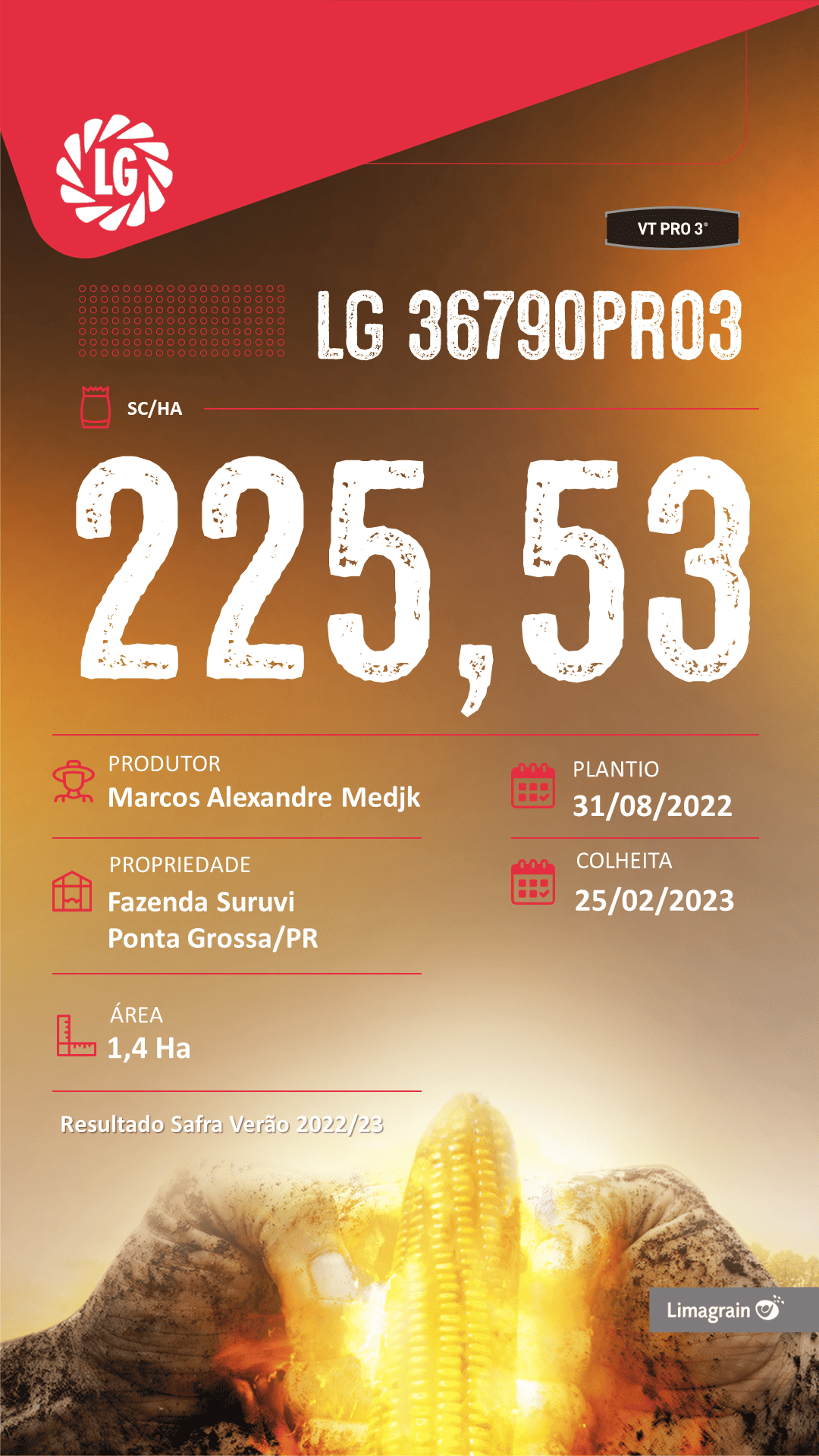resultado-de-produtividade