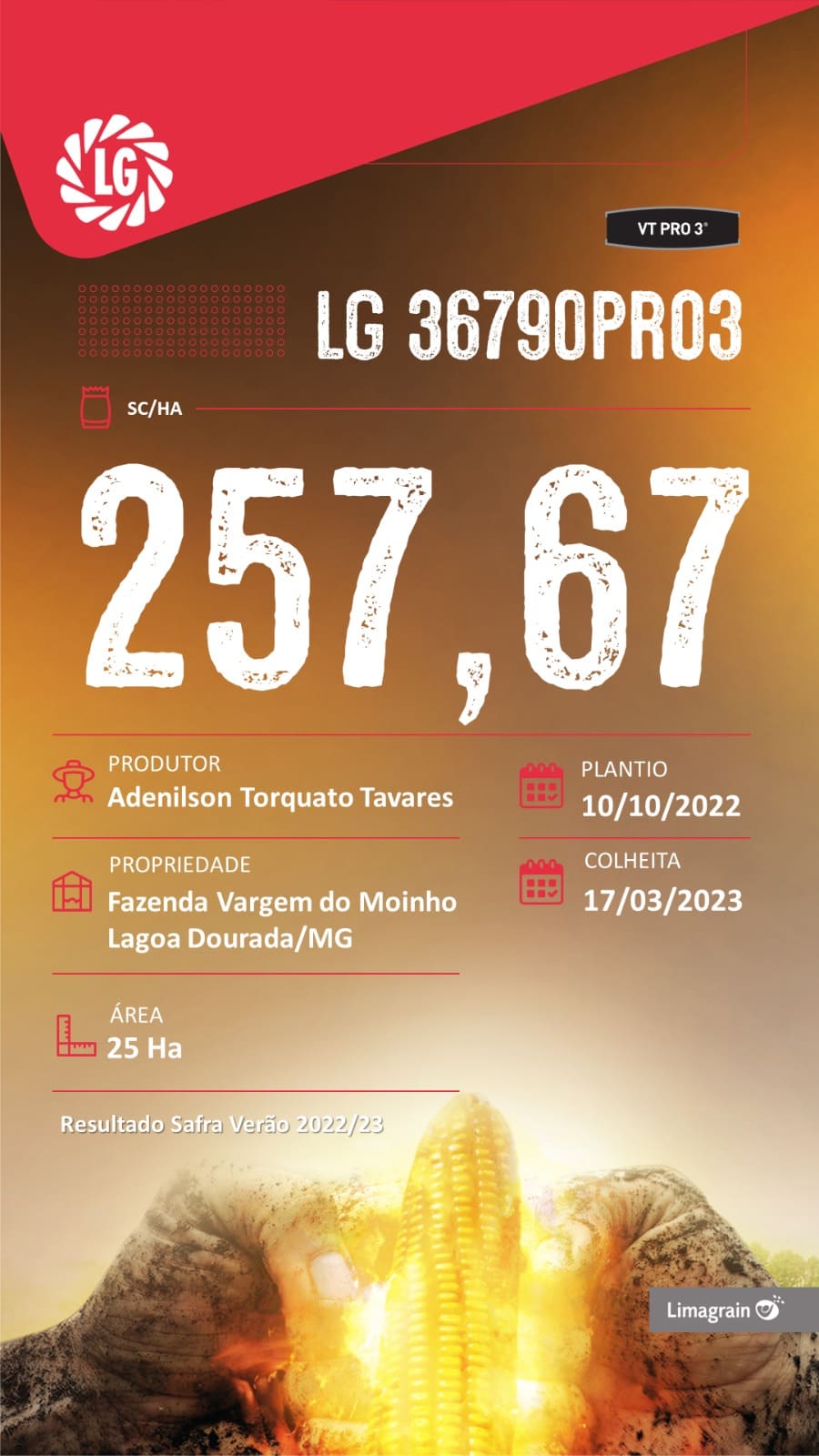 resultado-de-produtividade