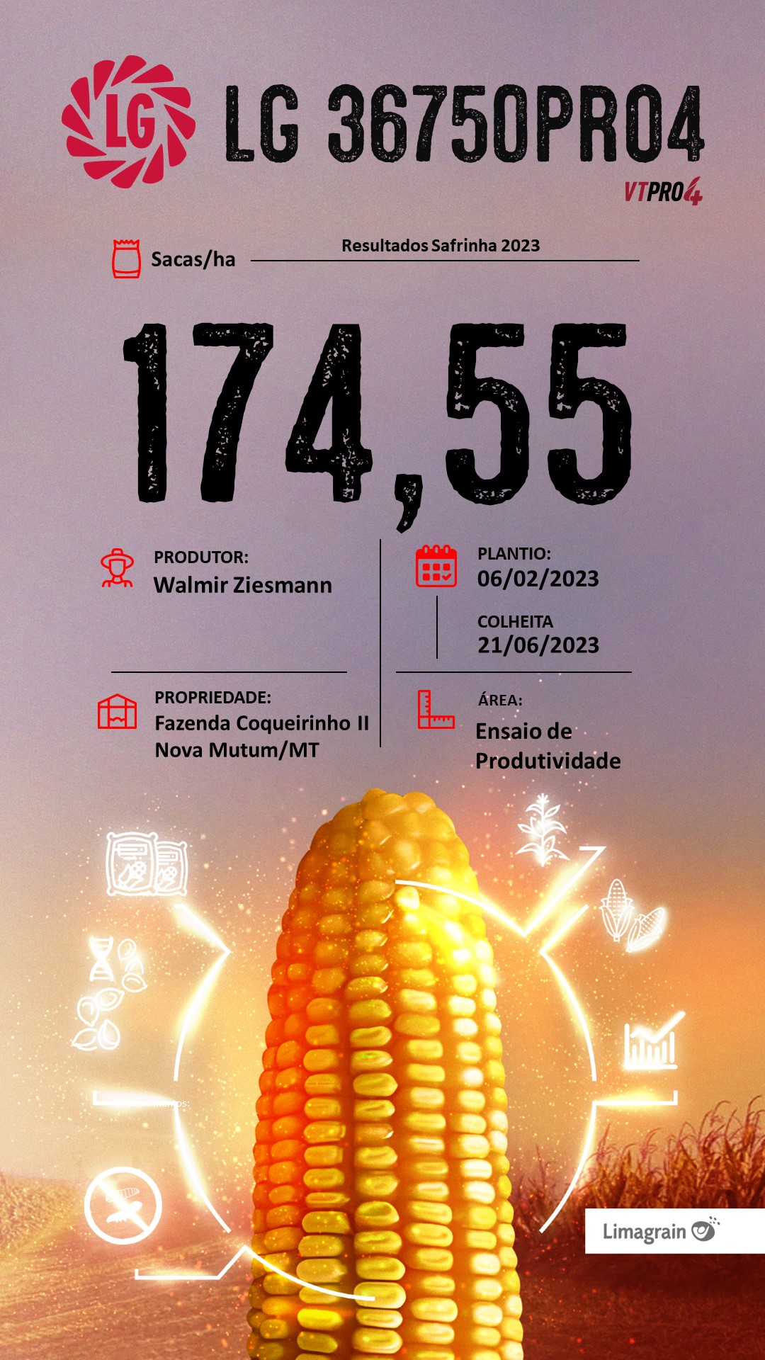 resultado-de-produtividade-lg36750