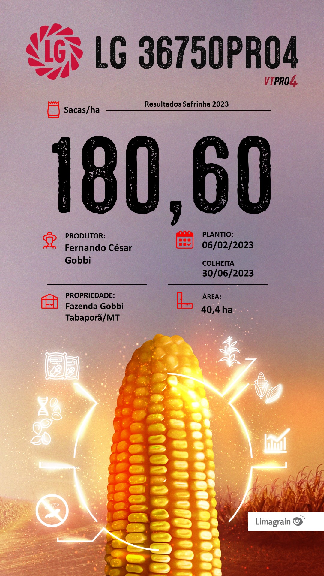 resultado-de-produtividade-lg36750