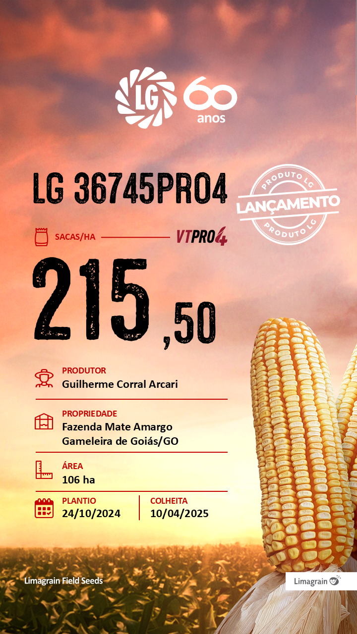 Resultado de produtividade