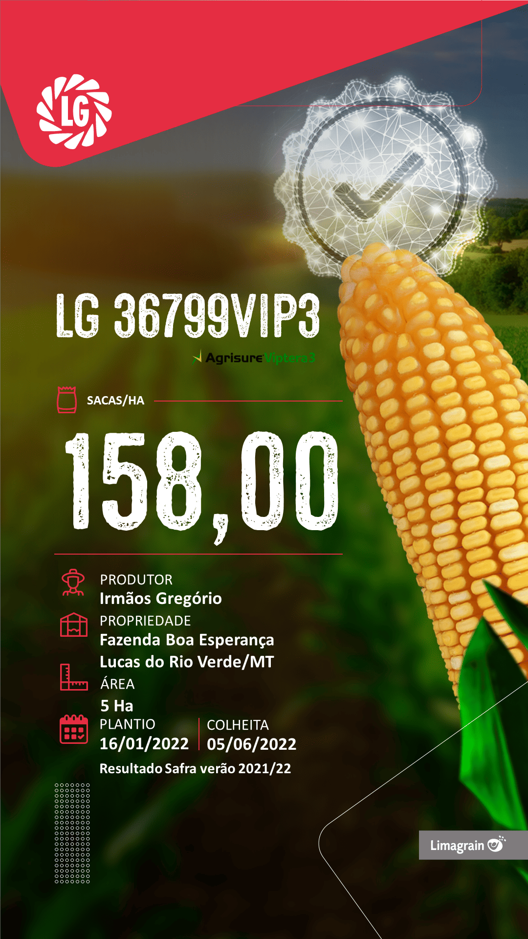 resultado-de-produtividade-36799