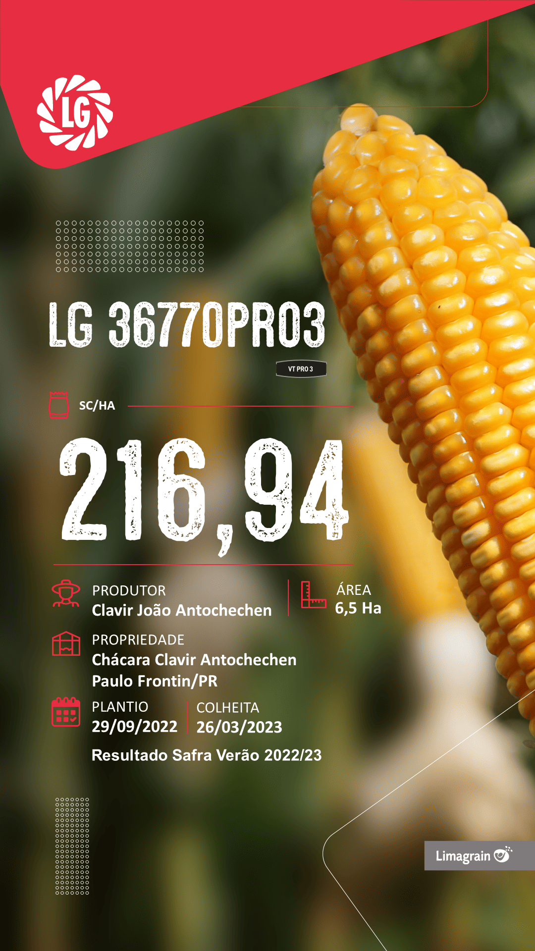 resultado-de-produtividade-lg-36770