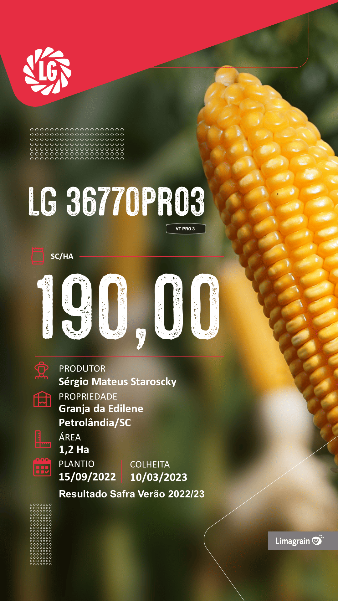 resultado-de-produtividade-lg-36770