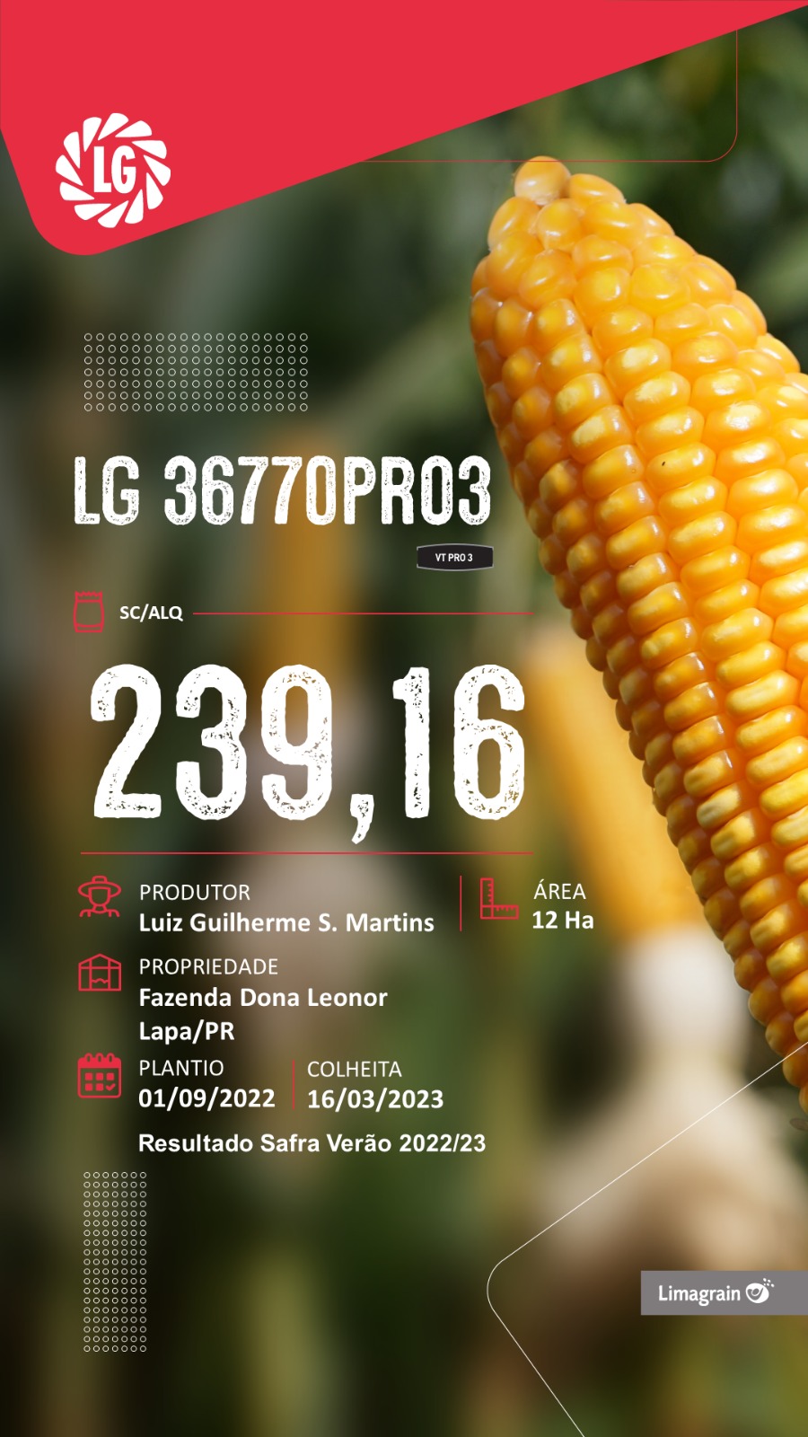resultado-de-produtividade-lg-36770