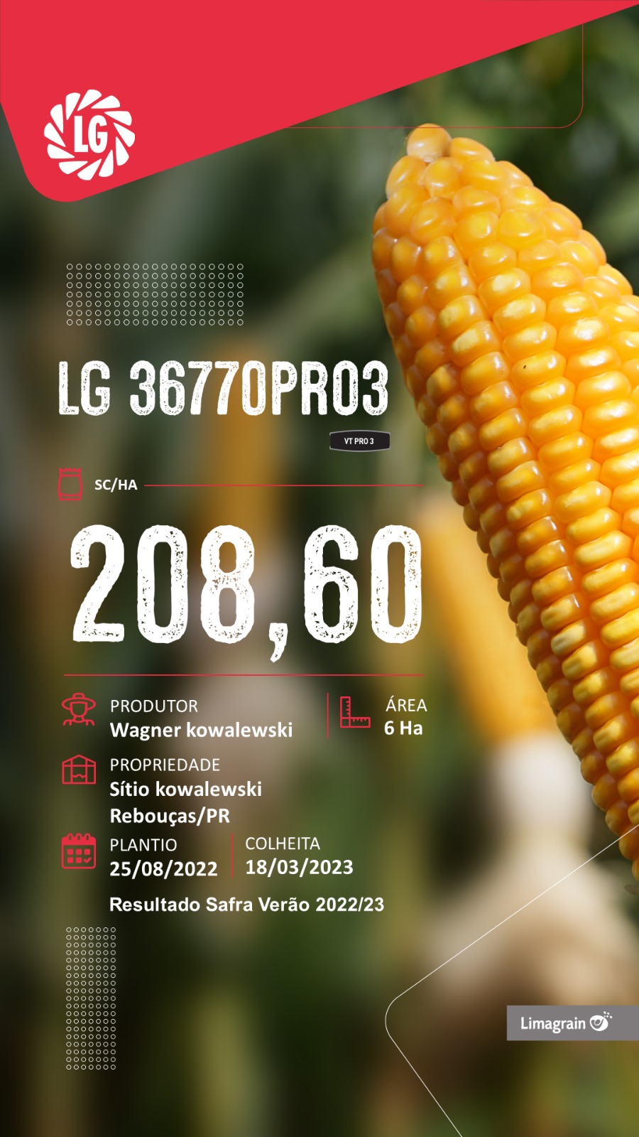 resultado-de-produtividade-lg-36770