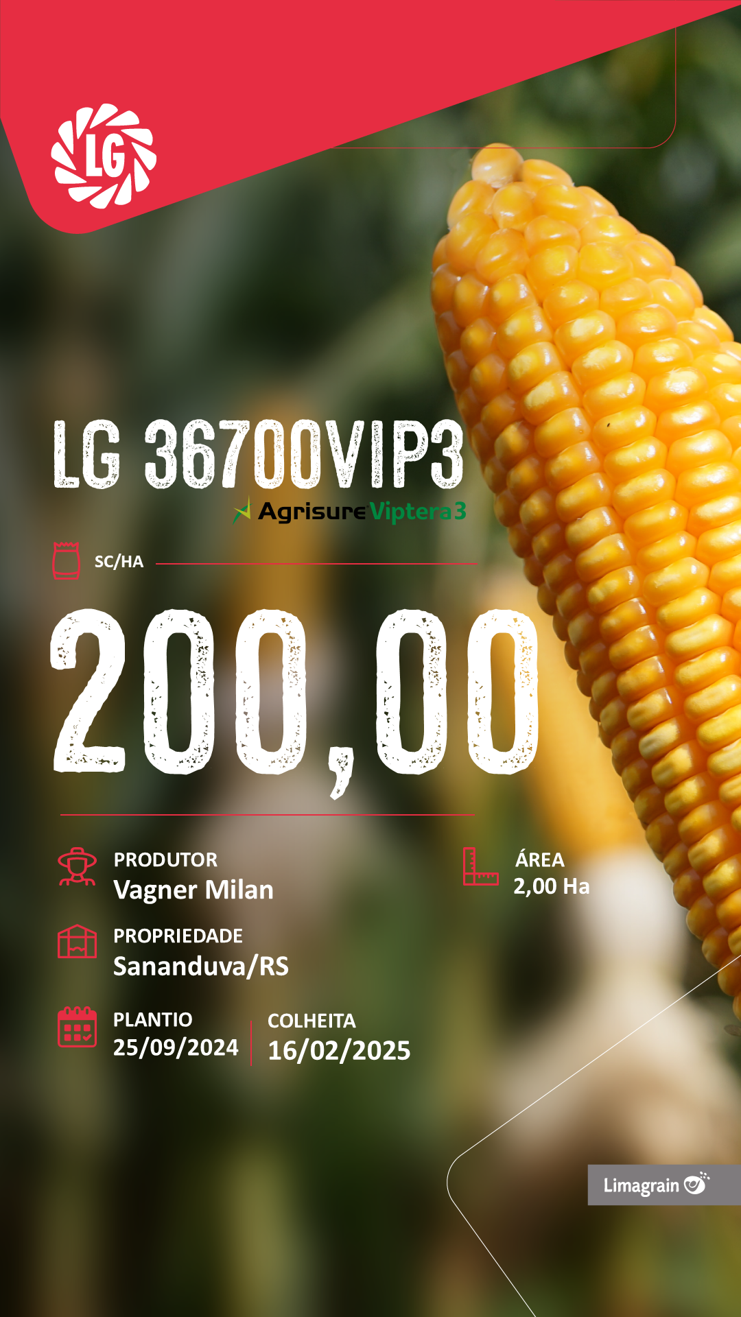 Resultado de produtividade