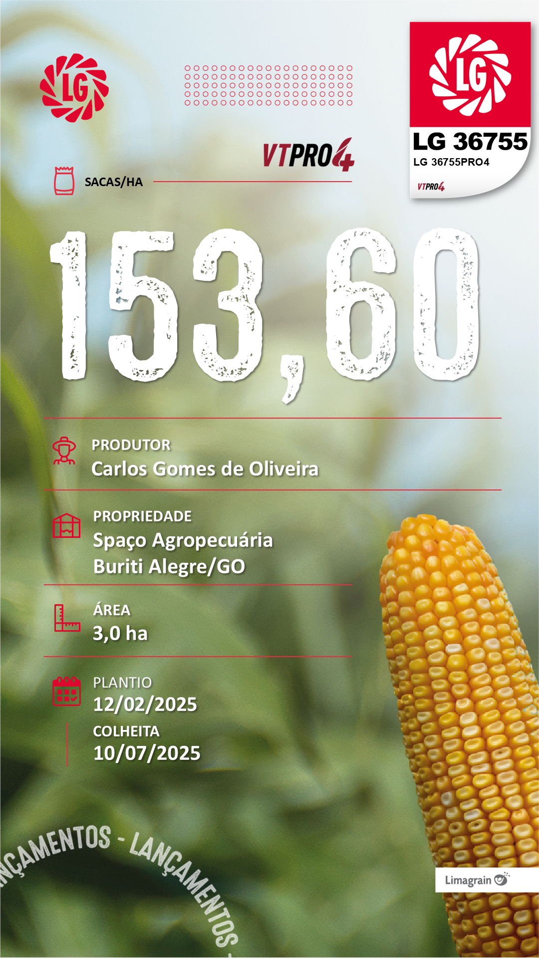 Resultado de produtividade