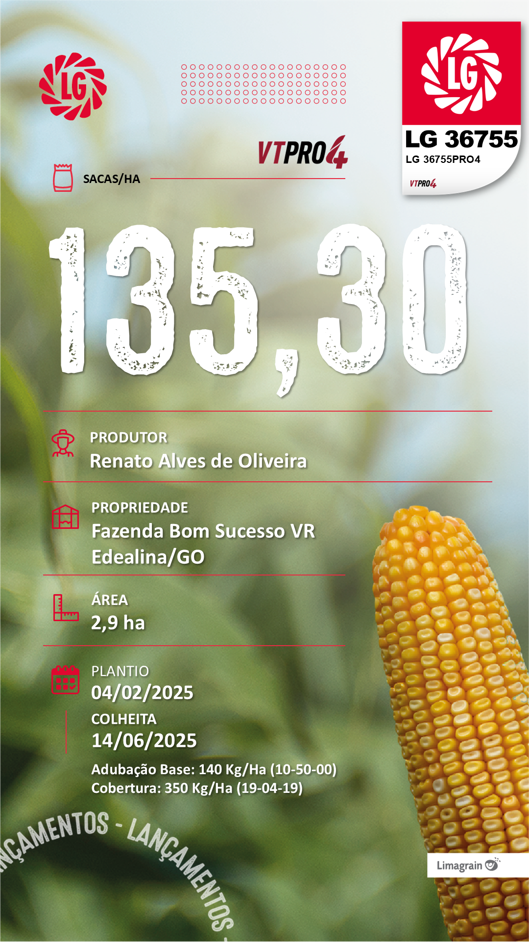 Resultado de produtividade