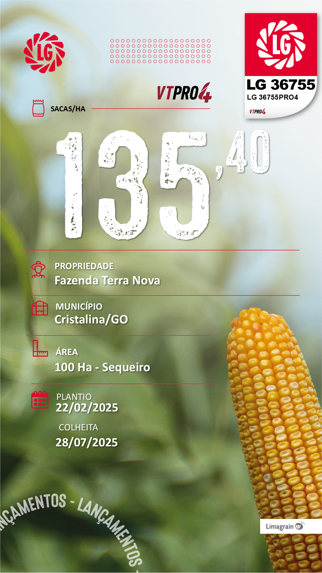 Resultado de produtividade