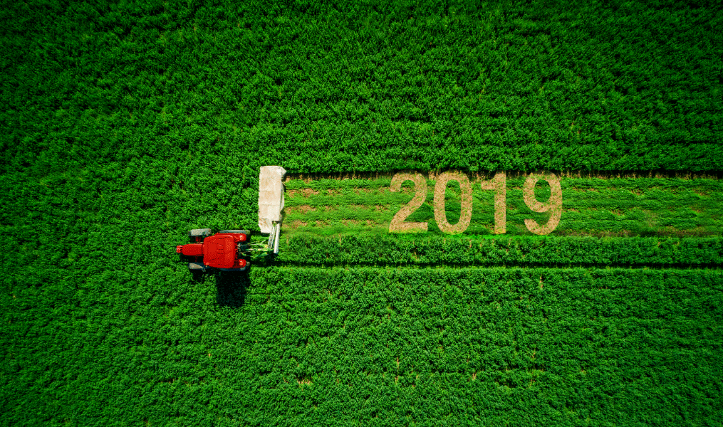 Agricultural Calendar: Understand Its Importance for Farmers