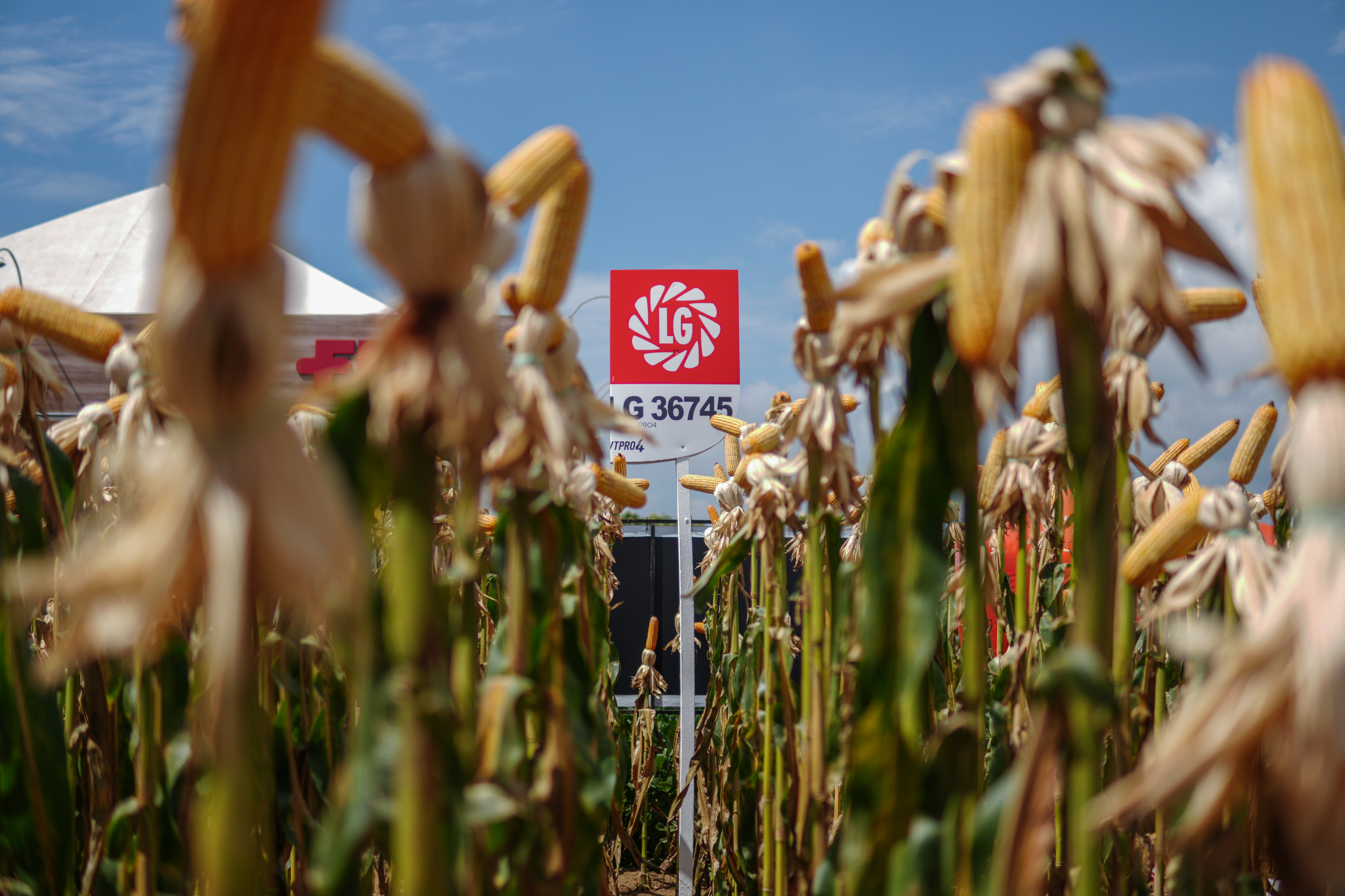 LG Sementes marcou presença na Farm Show!