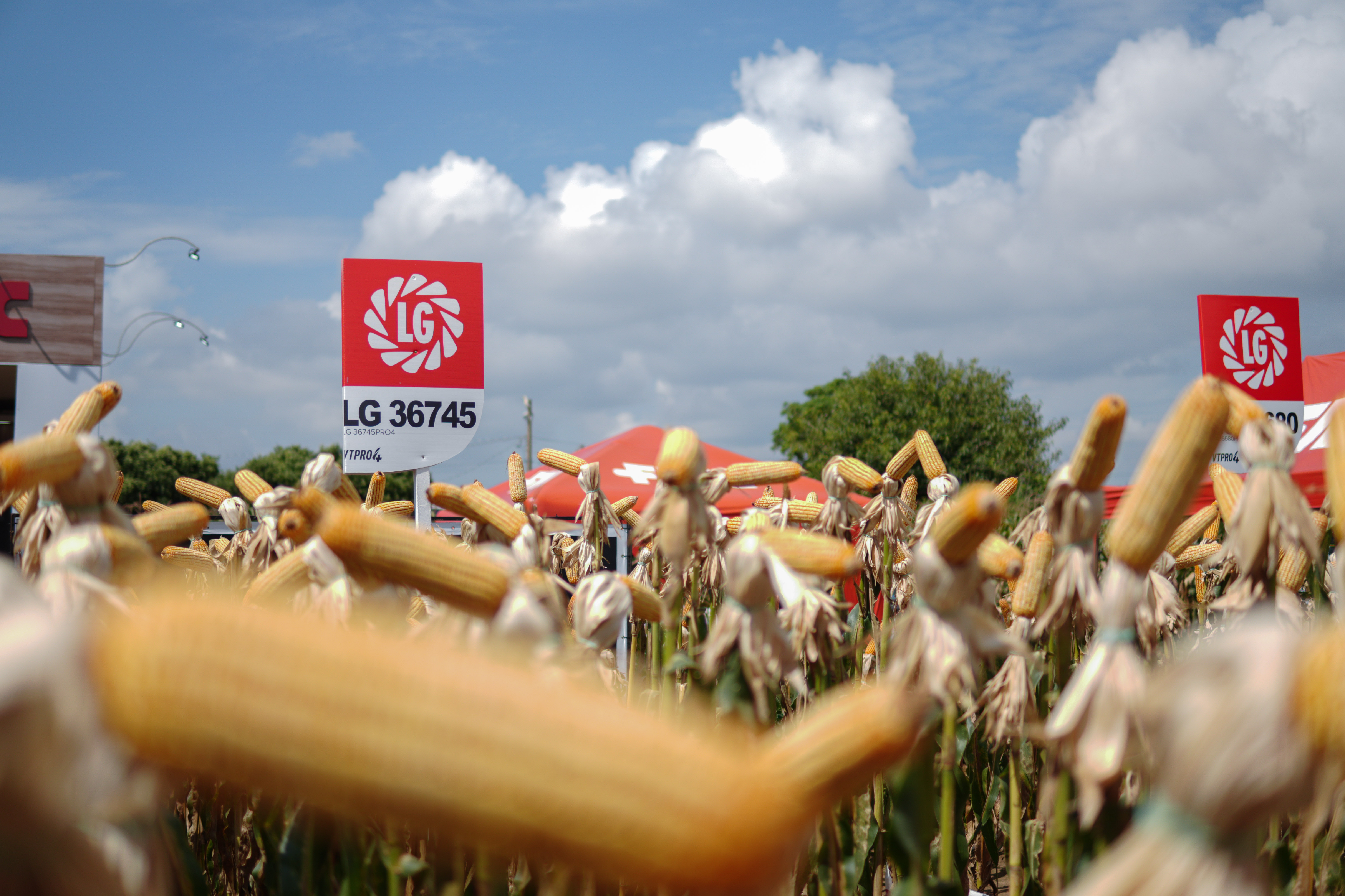LG Sementes marcou presença na Farm Show!