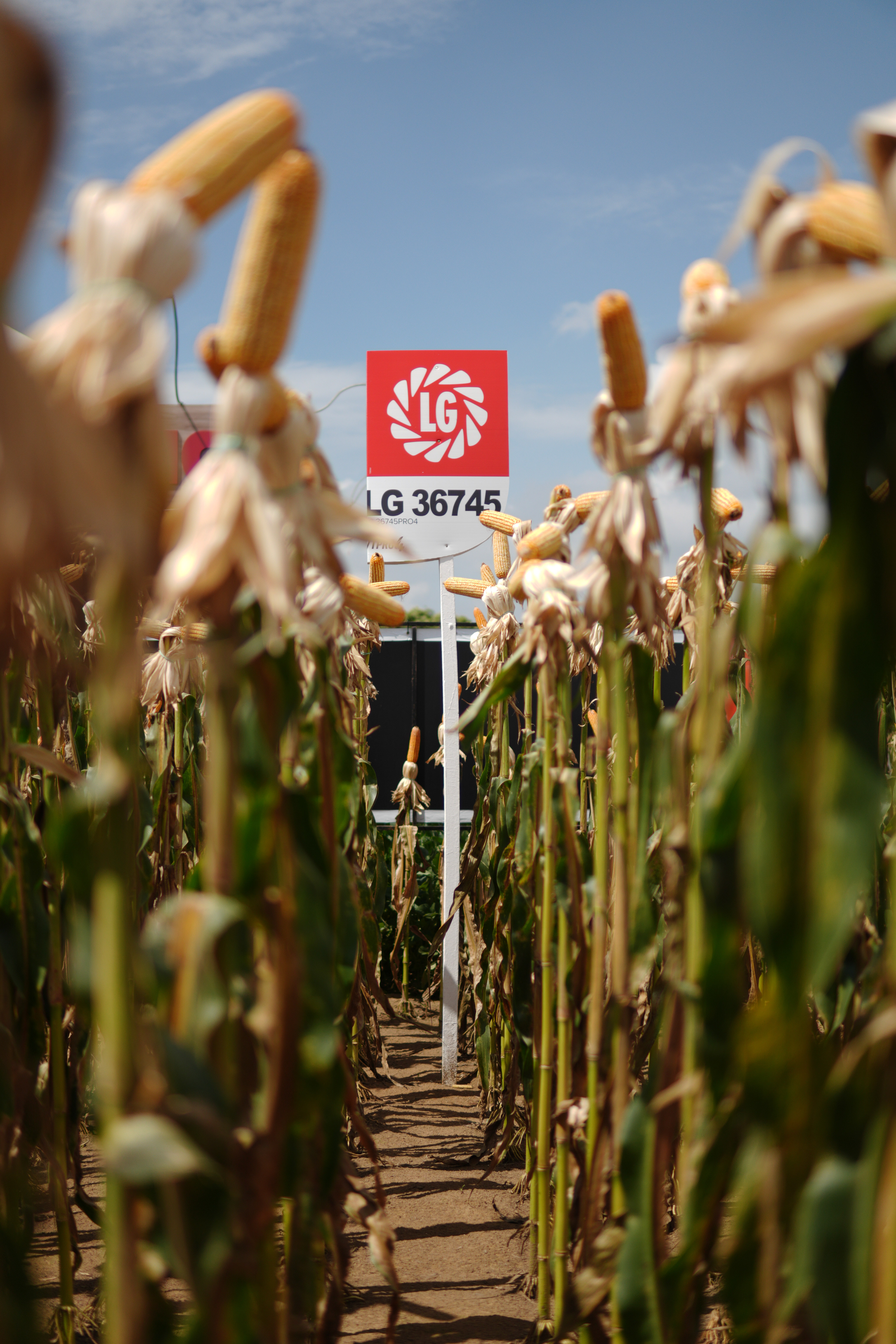 LG Sementes marcou presença na Farm Show!