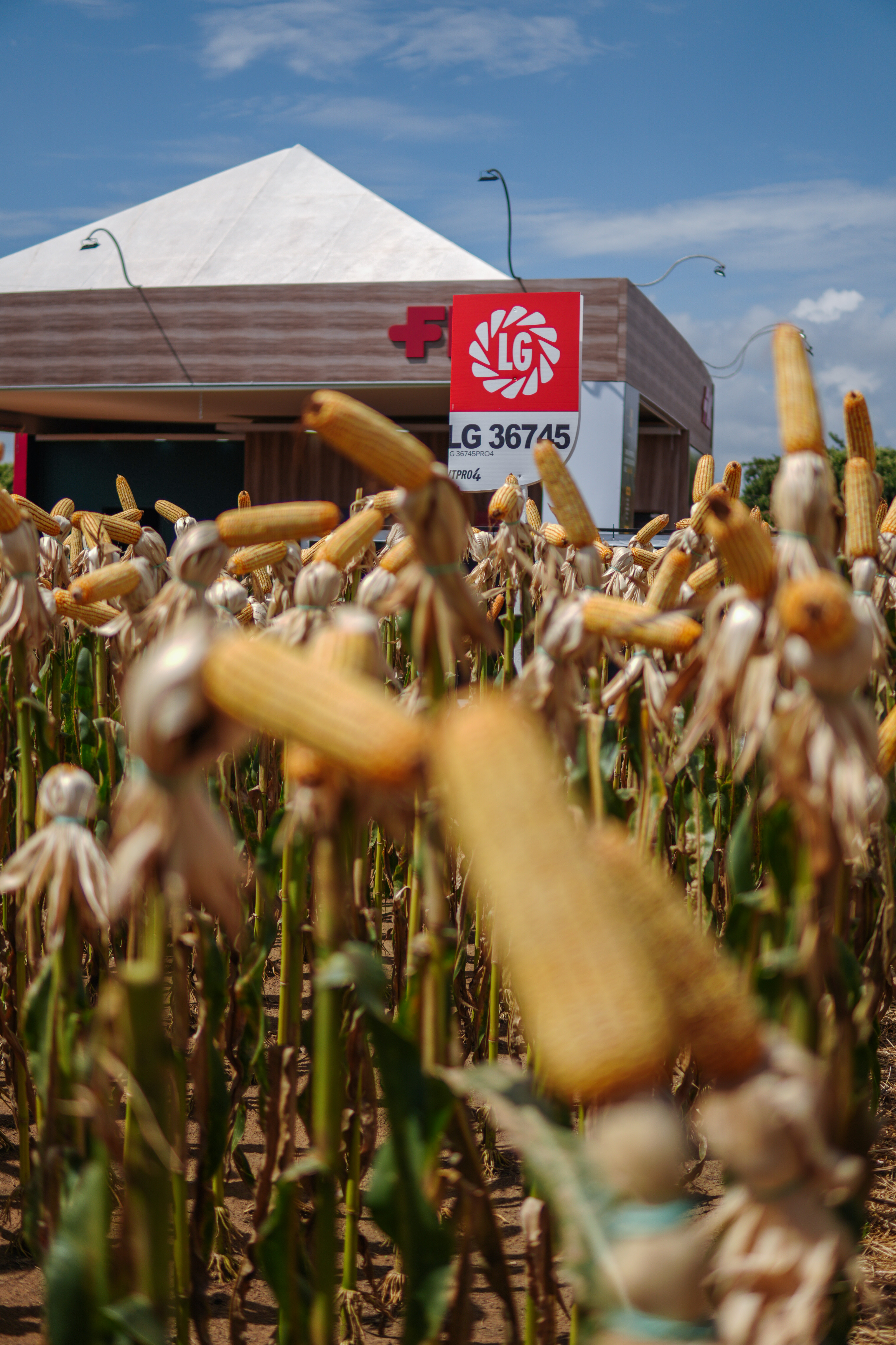 LG Sementes marcou presença na Farm Show!