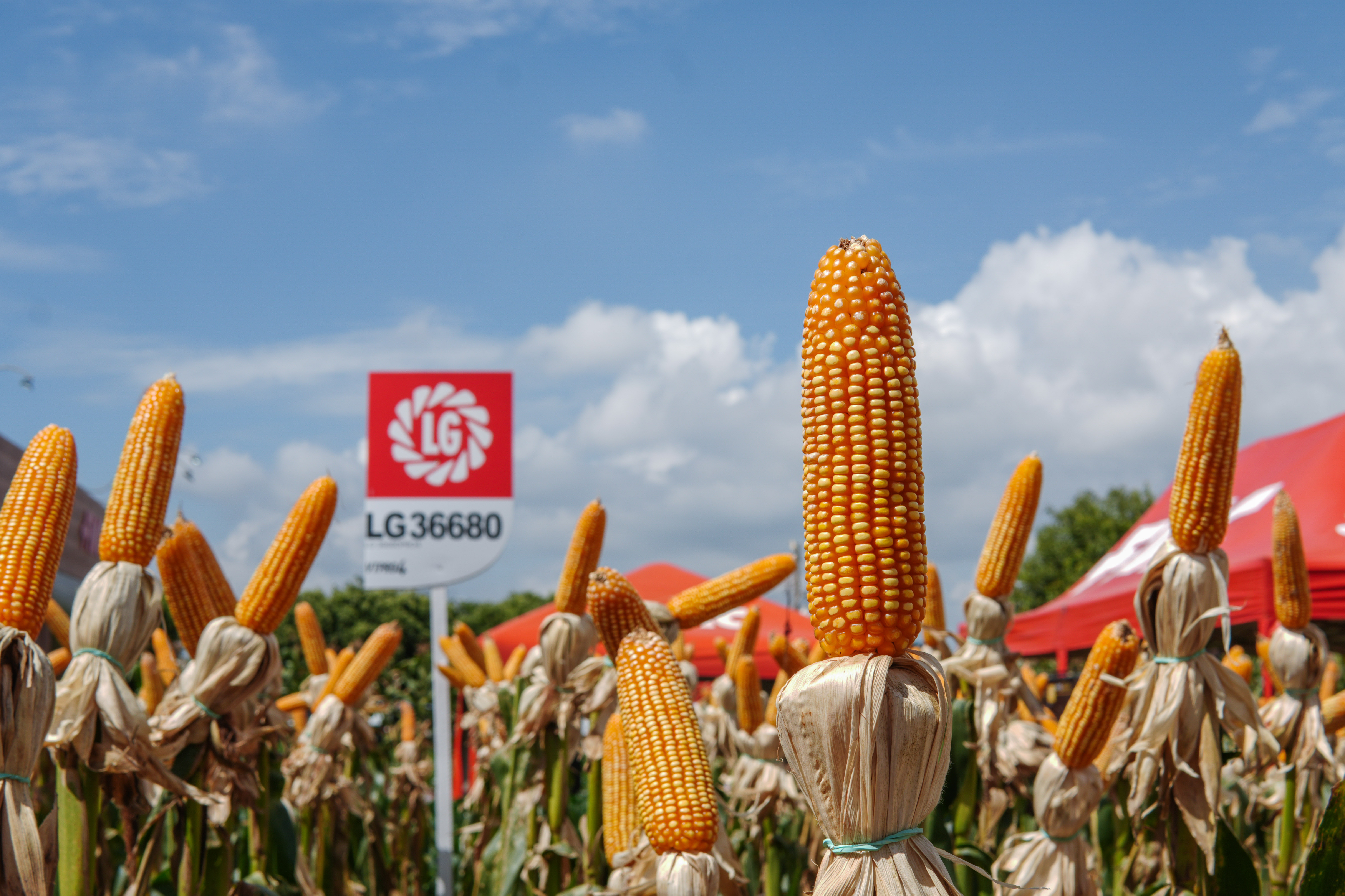 LG Sementes marcou presença na Farm Show!