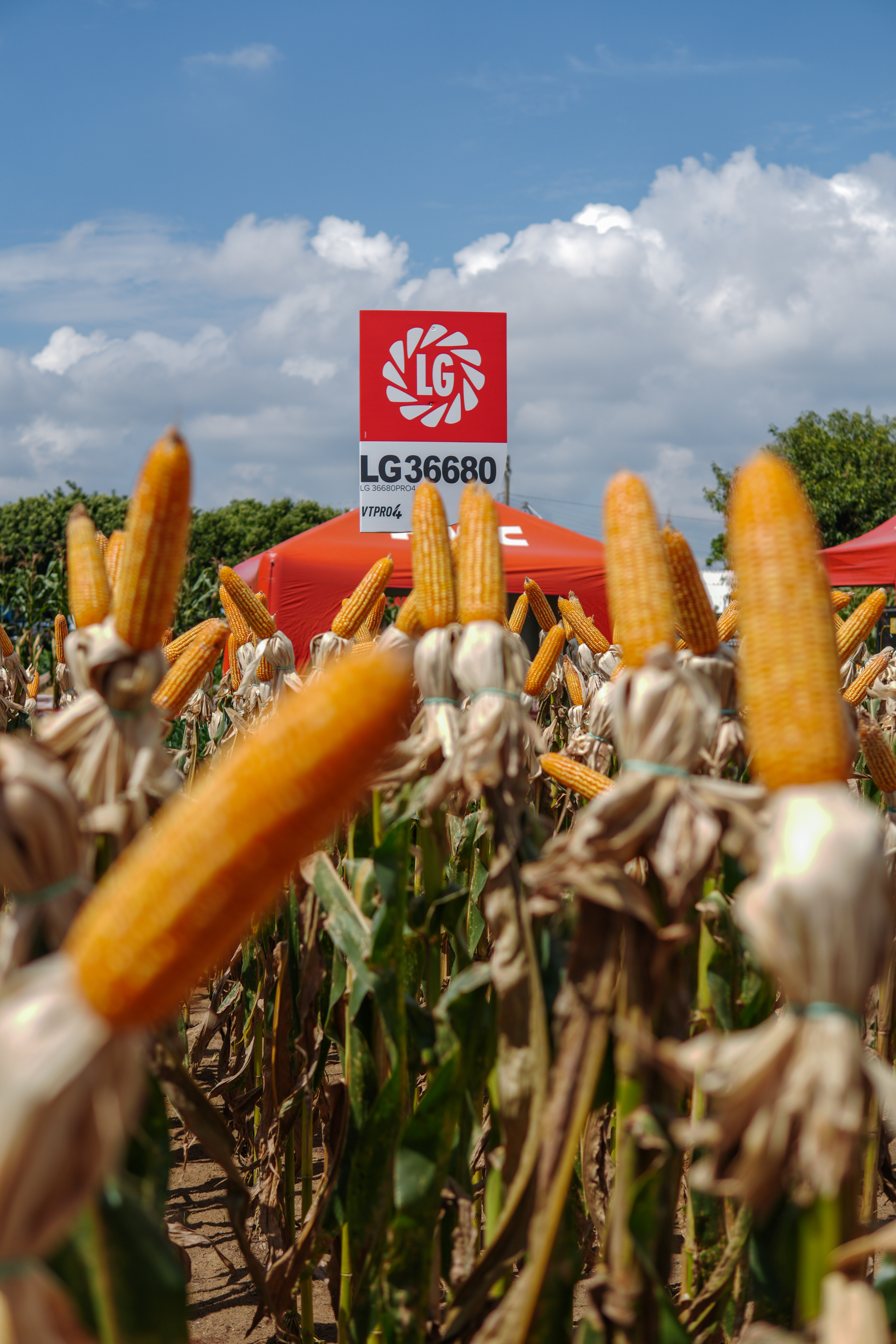 LG Sementes marcou presença na Farm Show!