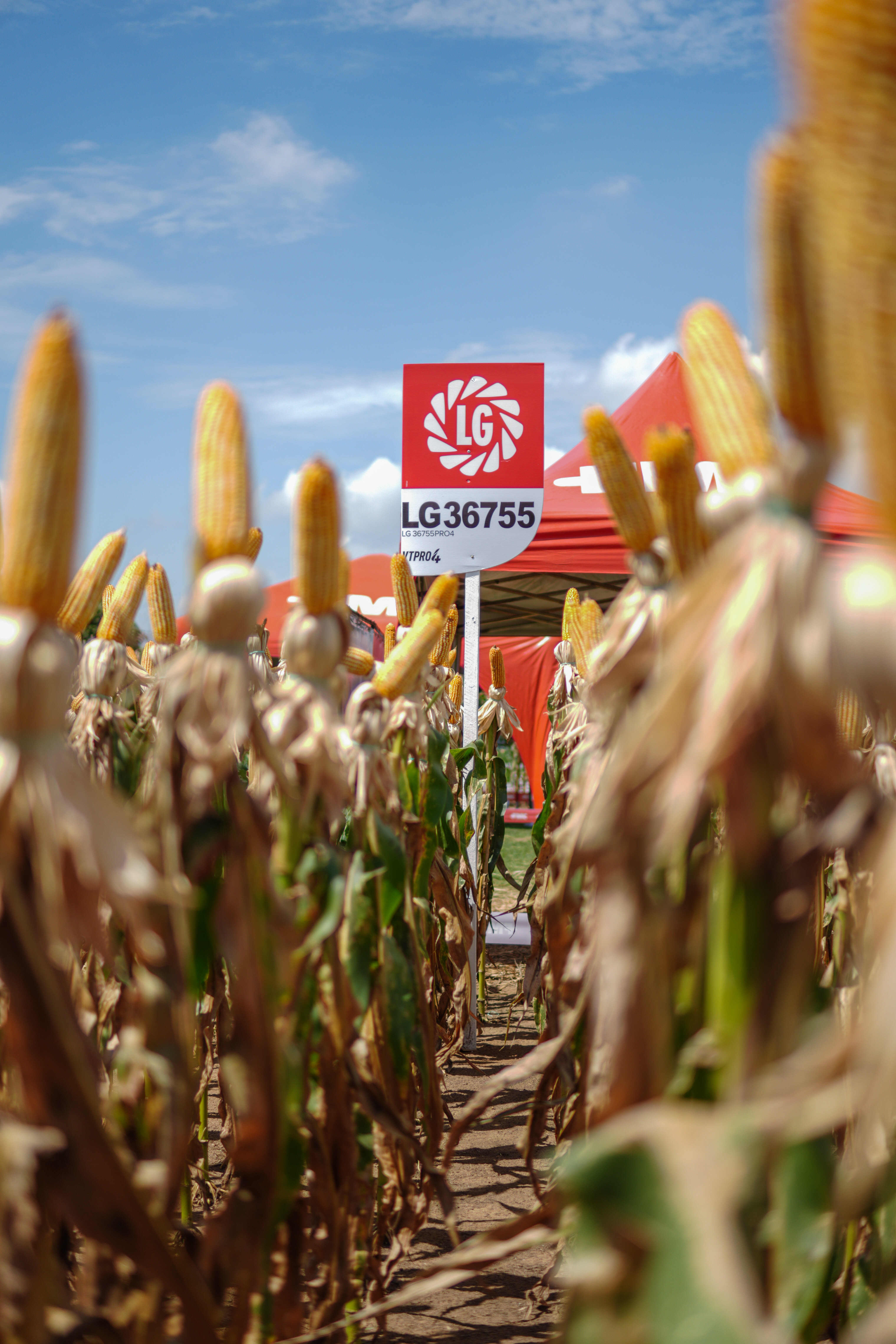 LG Sementes marcou presença na Farm Show!