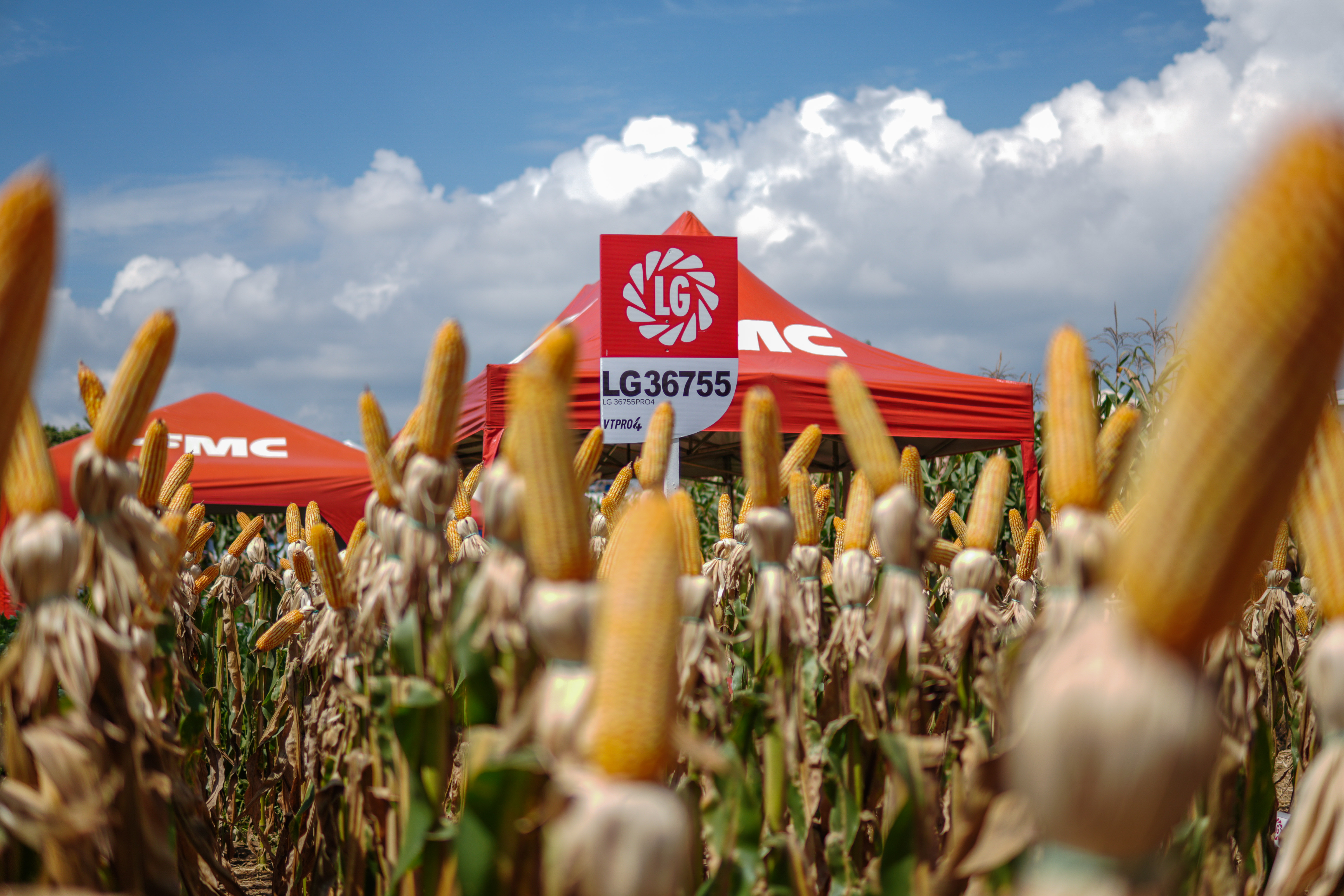 LG Sementes marcou presença na Farm Show!