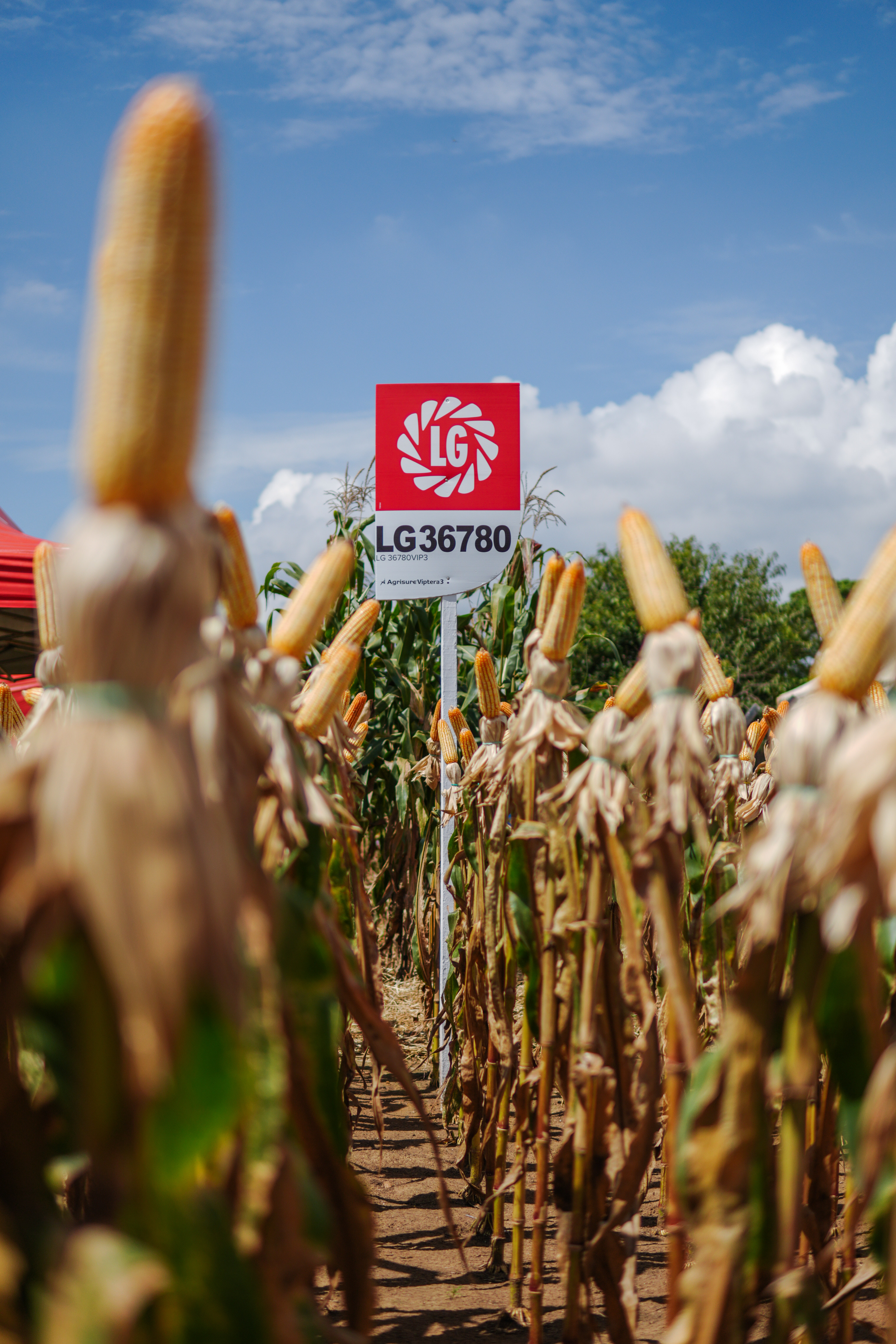 LG Sementes marcou presença na Farm Show!