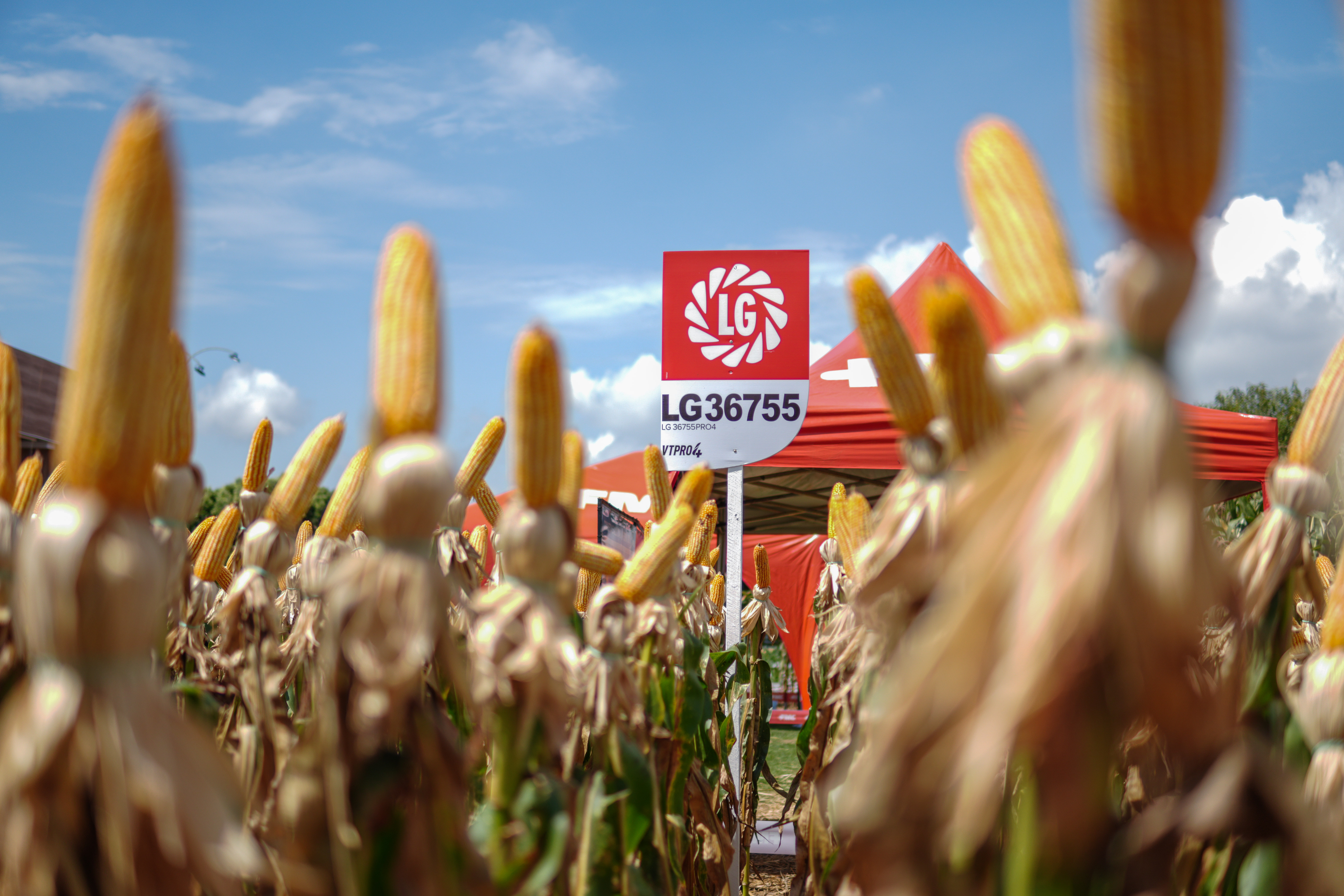 LG Sementes marcou presença na Farm Show!
