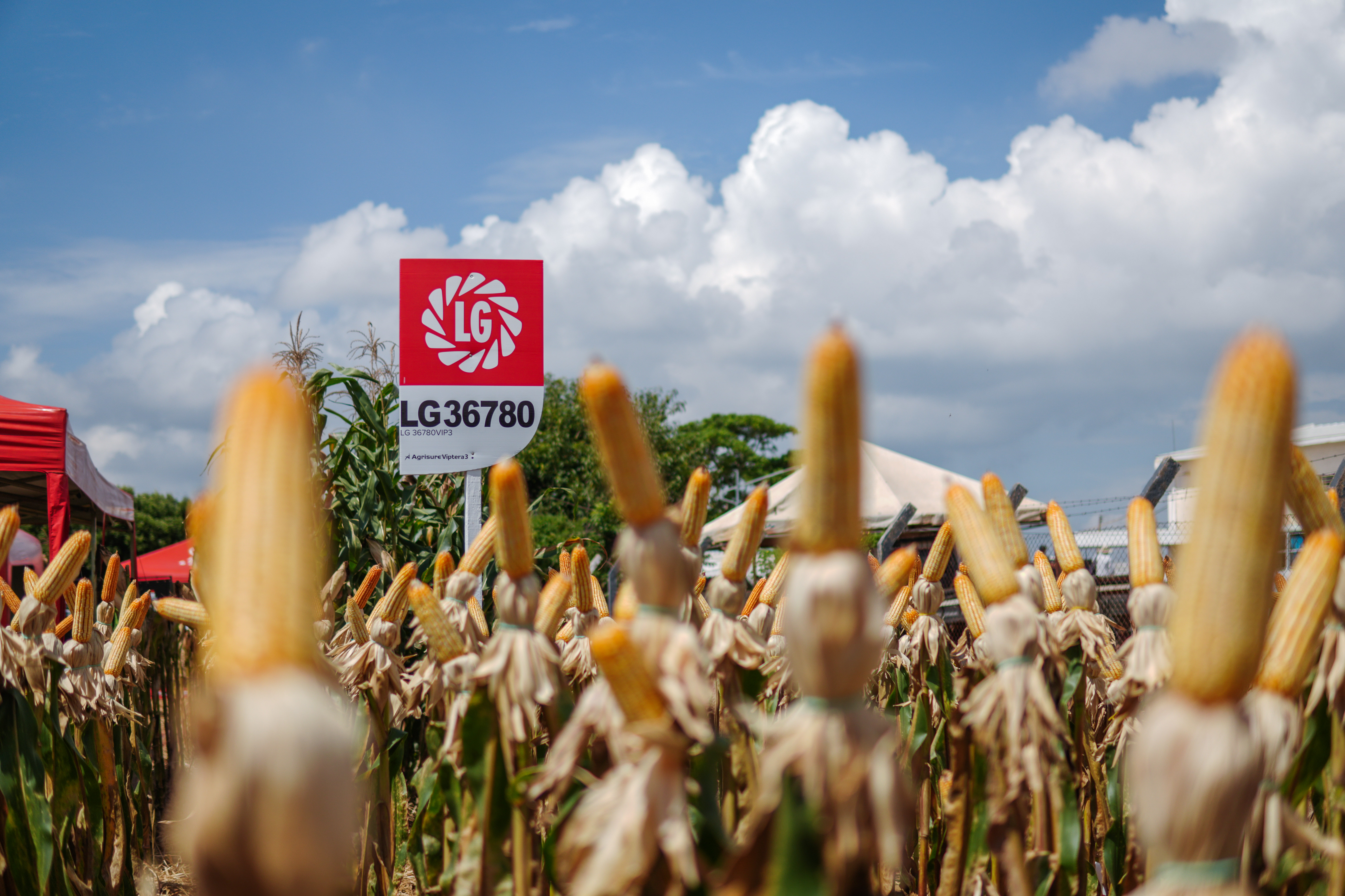 LG Sementes marcou presença na Farm Show!