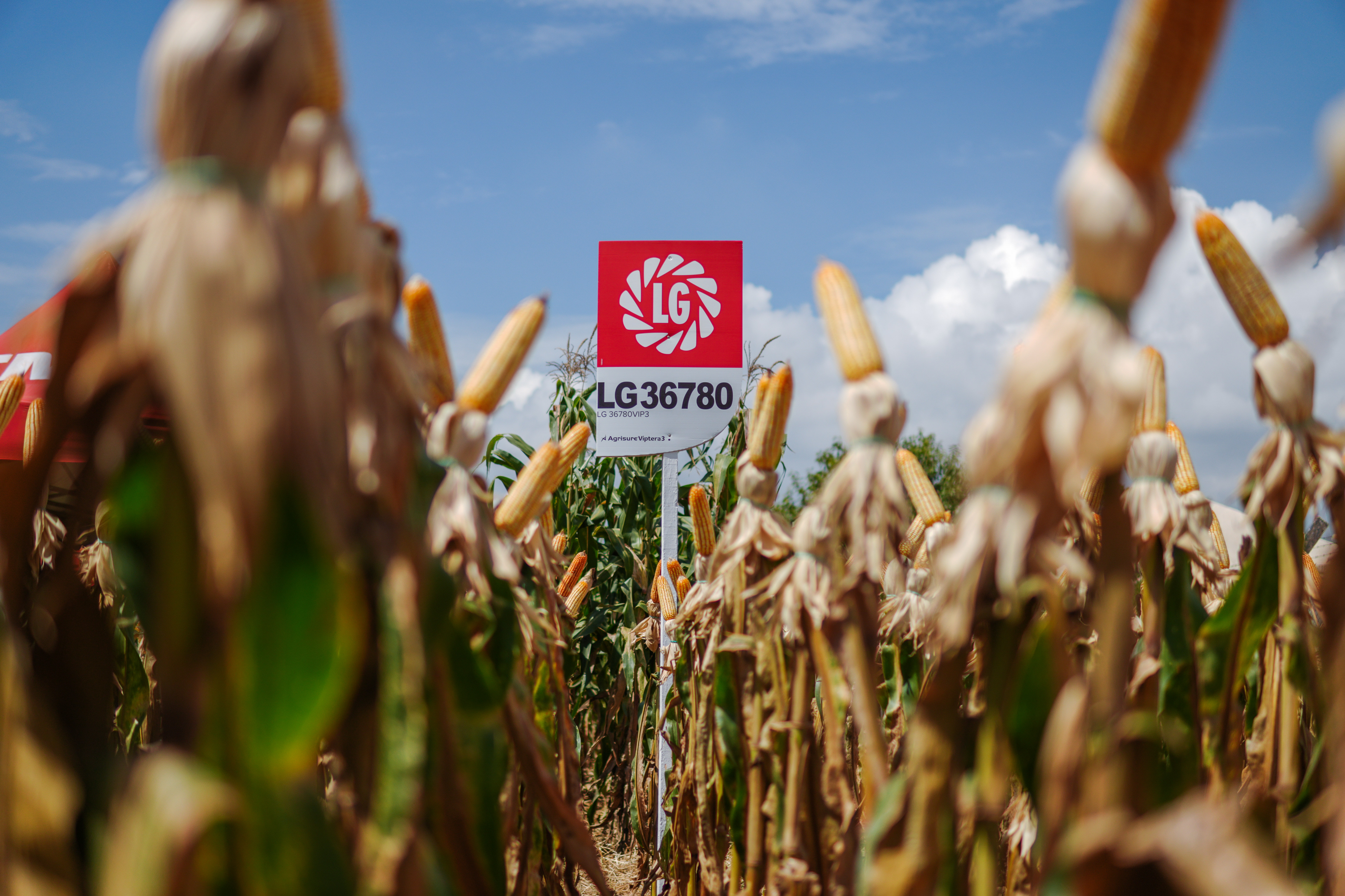LG Sementes marcou presença na Farm Show!