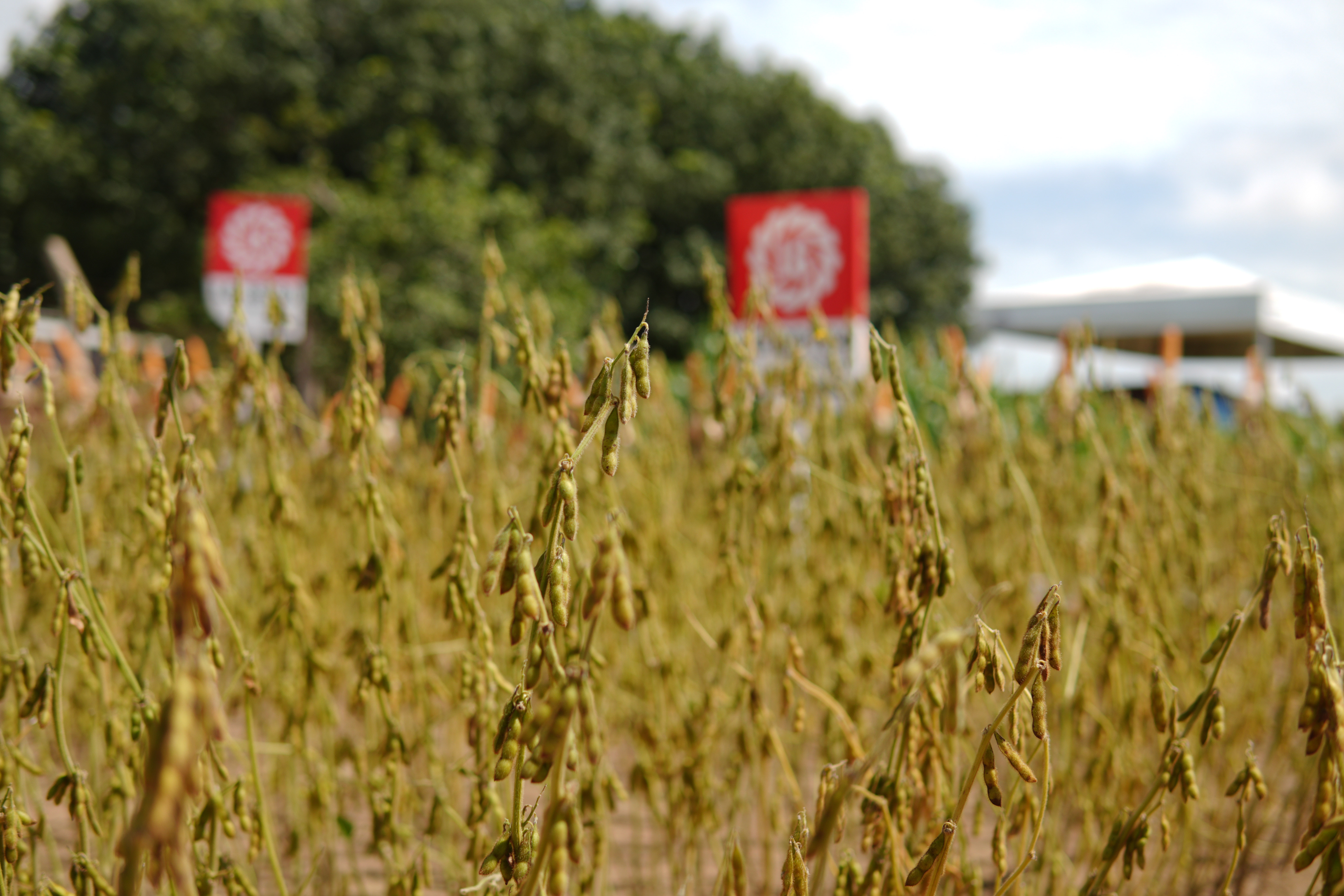 LG Sementes marcou presença na Farm Show!