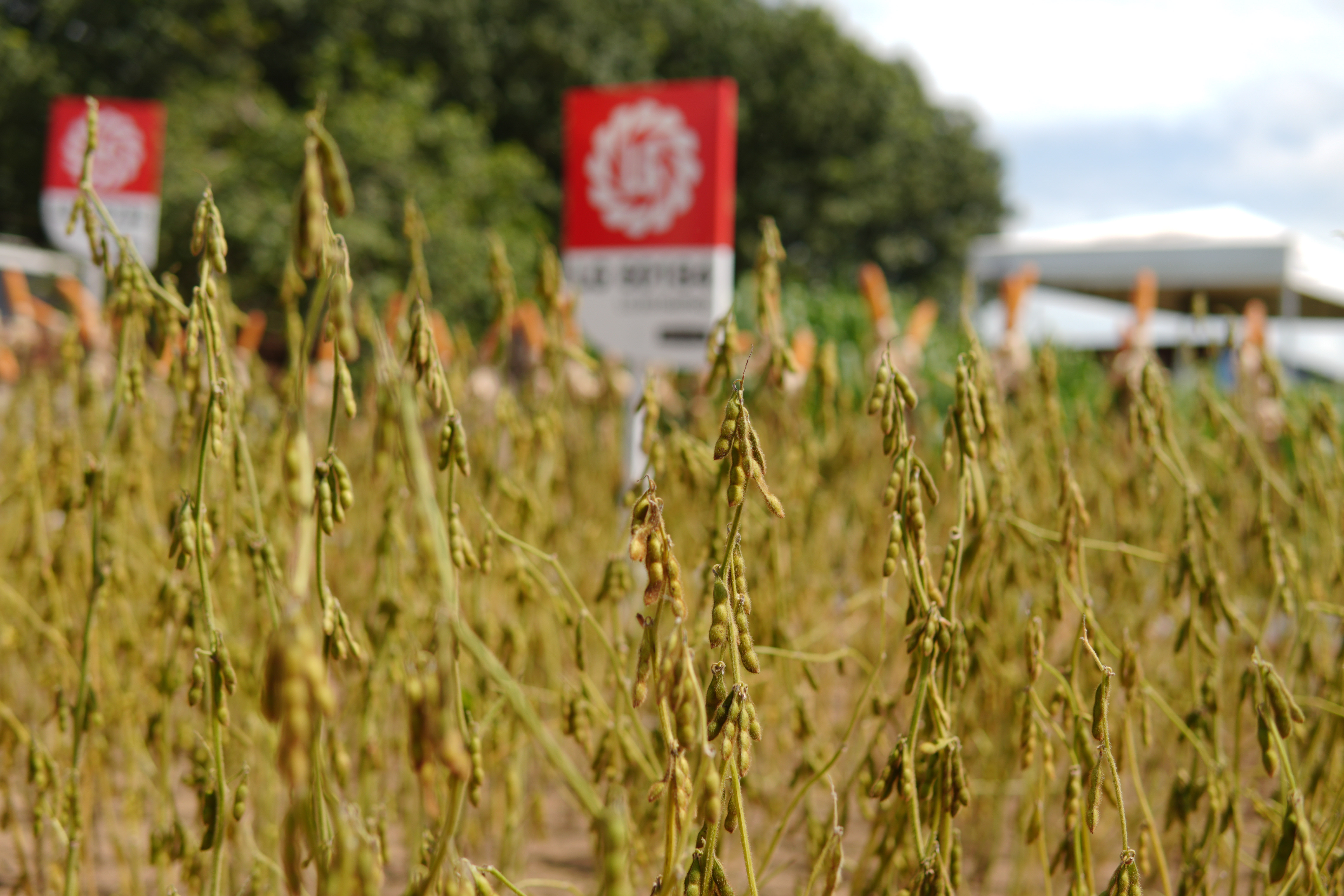LG Sementes marcou presença na Farm Show!