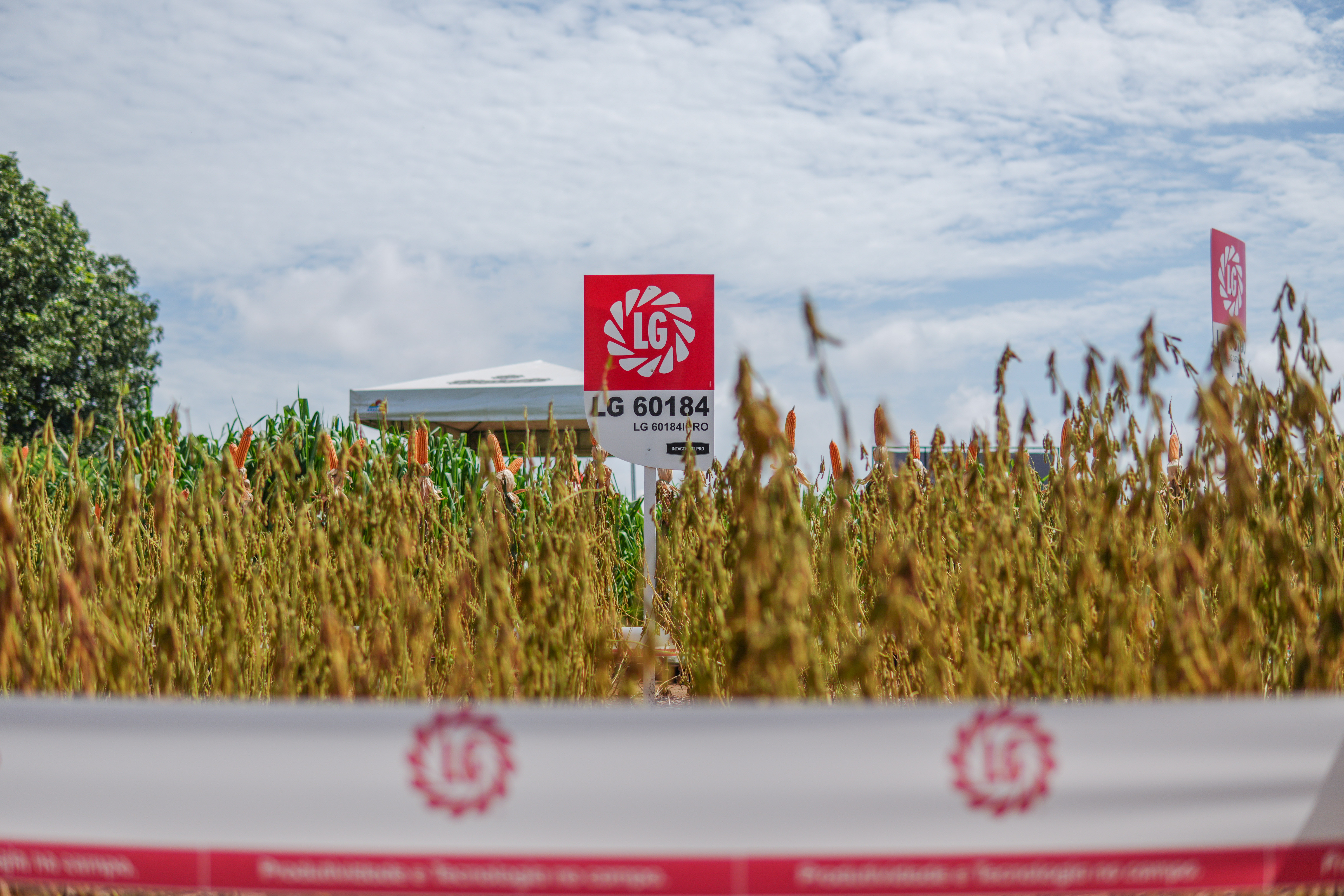 LG Sementes marcou presença na Farm Show!
