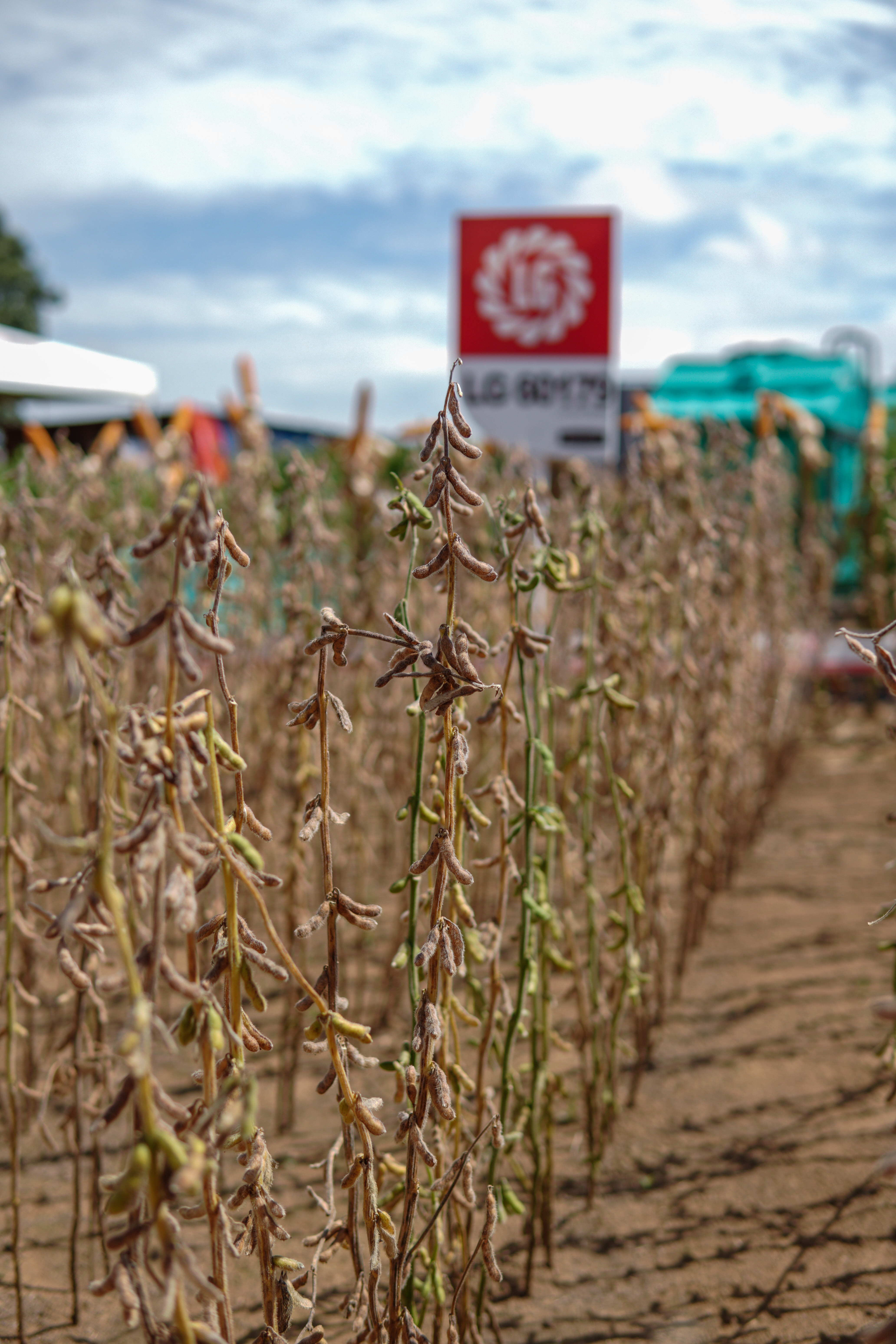 LG Sementes marcou presença na Farm Show!