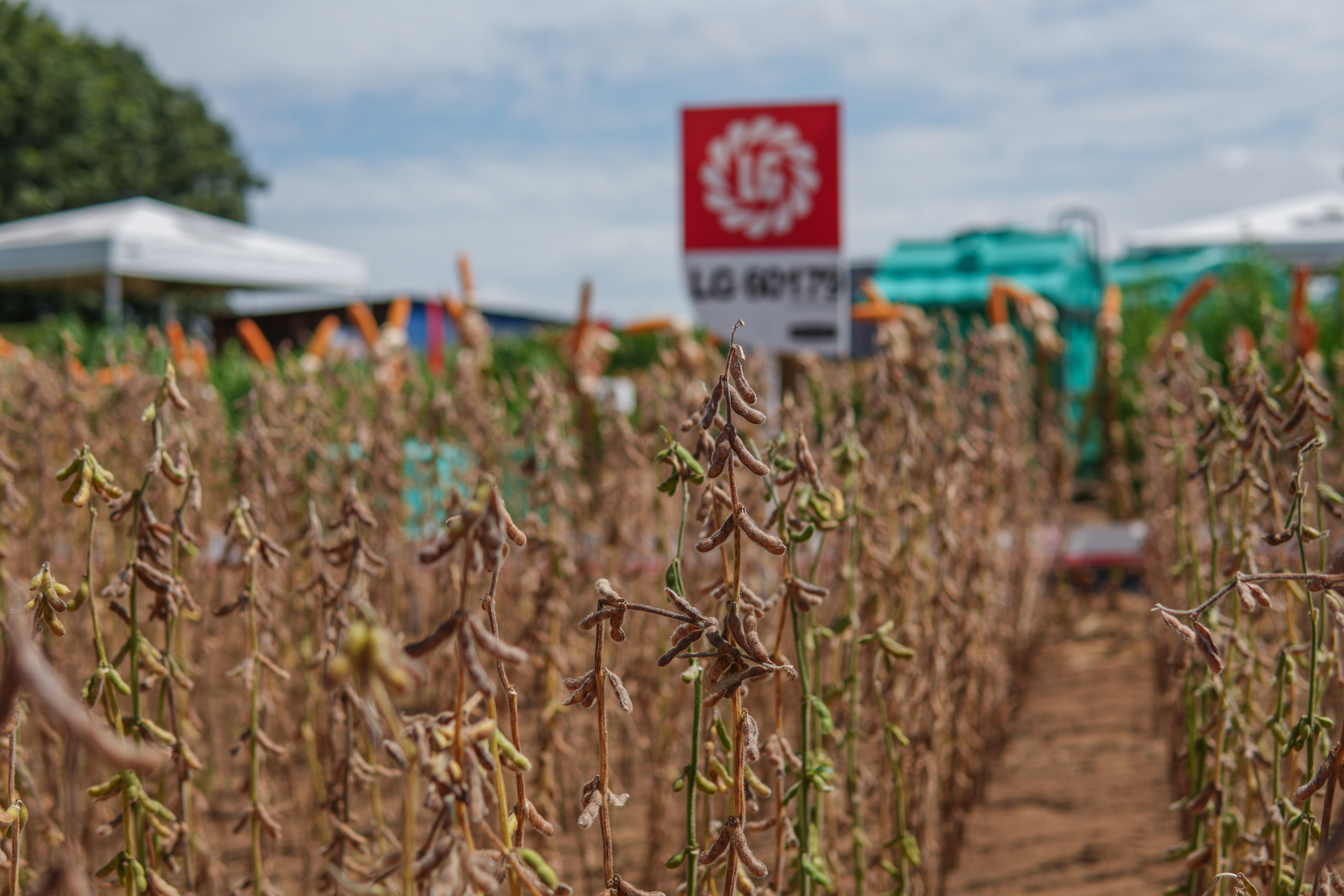 LG Sementes marcou presença na Farm Show!