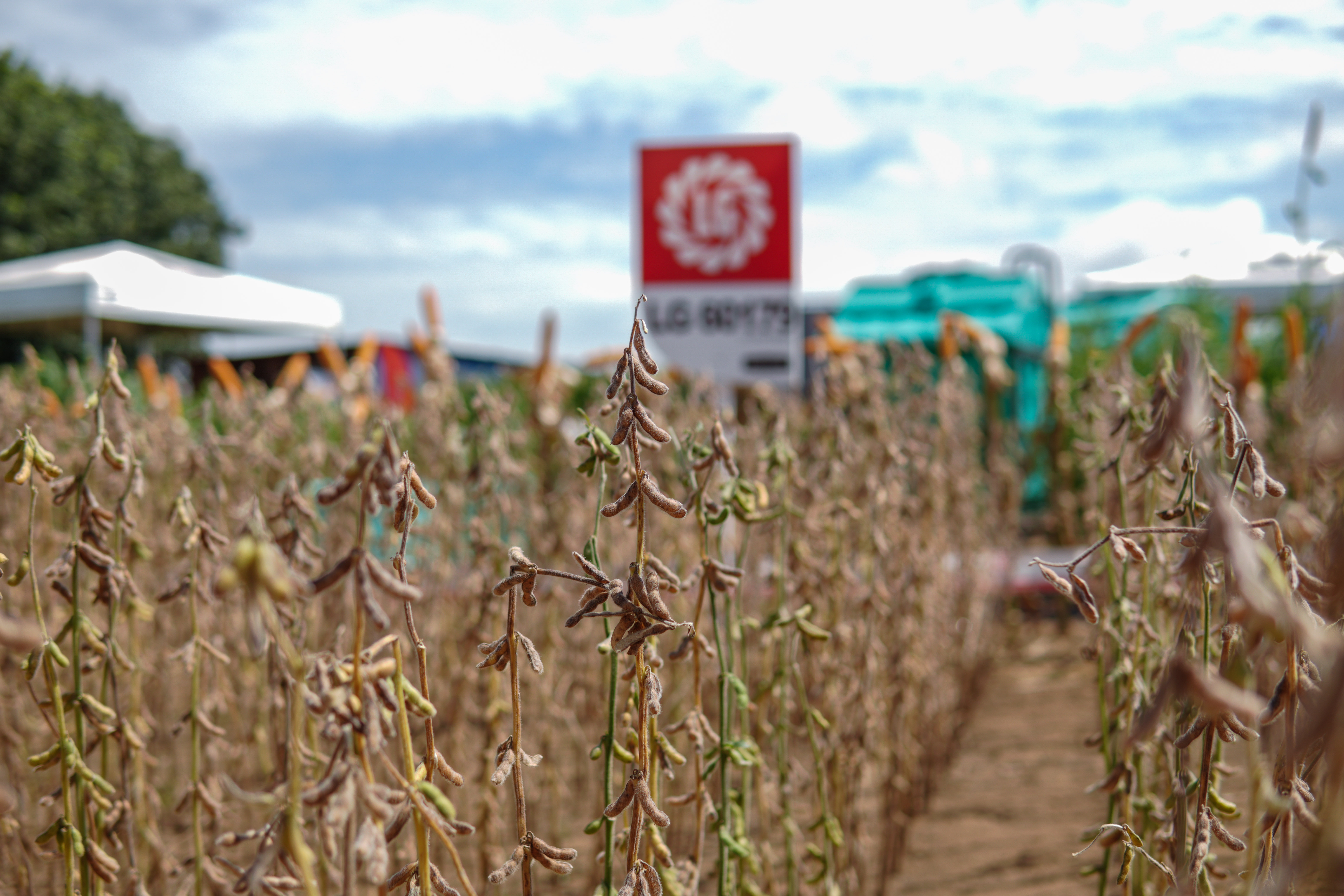 LG Sementes marcou presença na Farm Show!