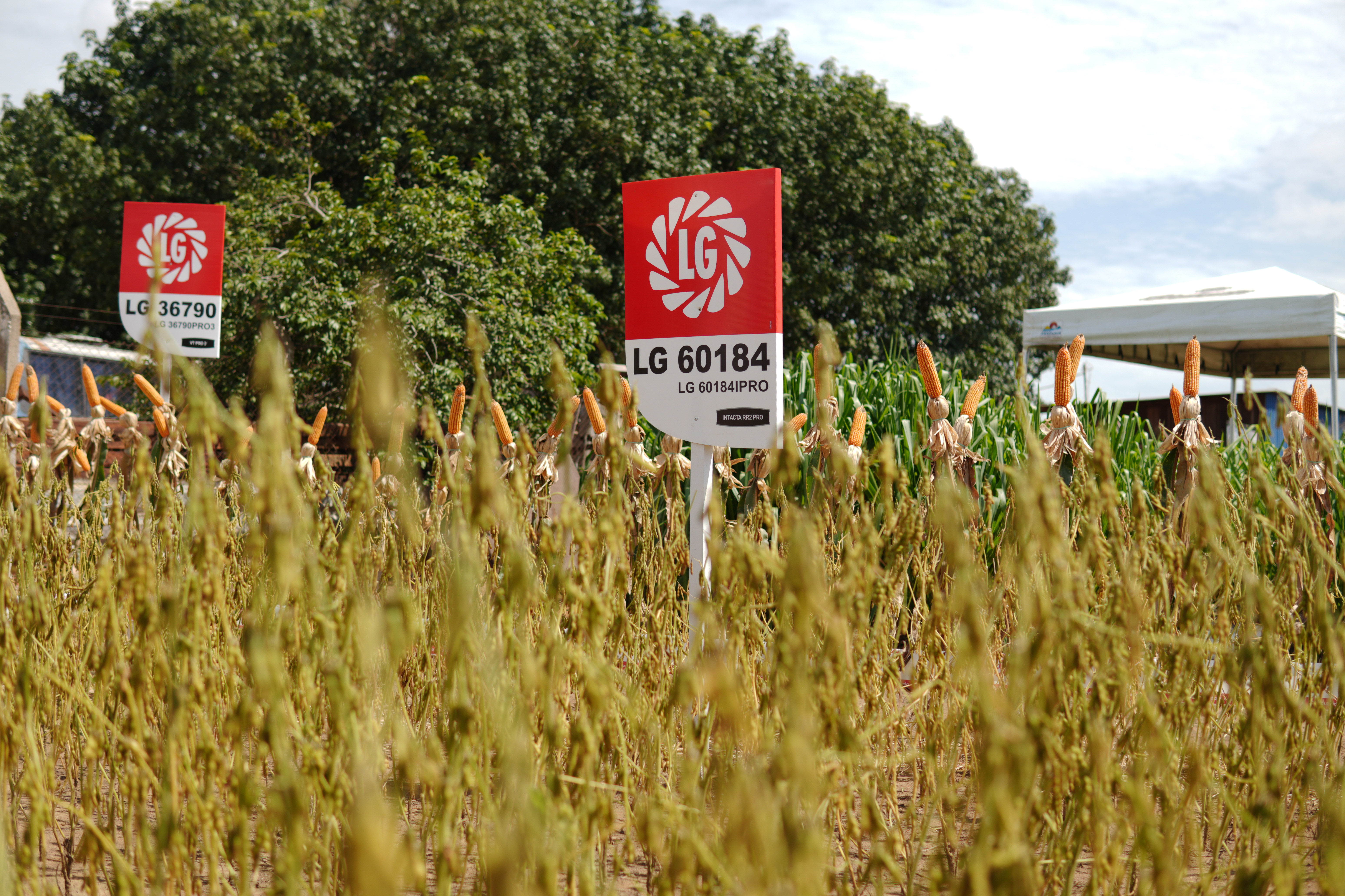 LG Sementes marcou presença na Farm Show!