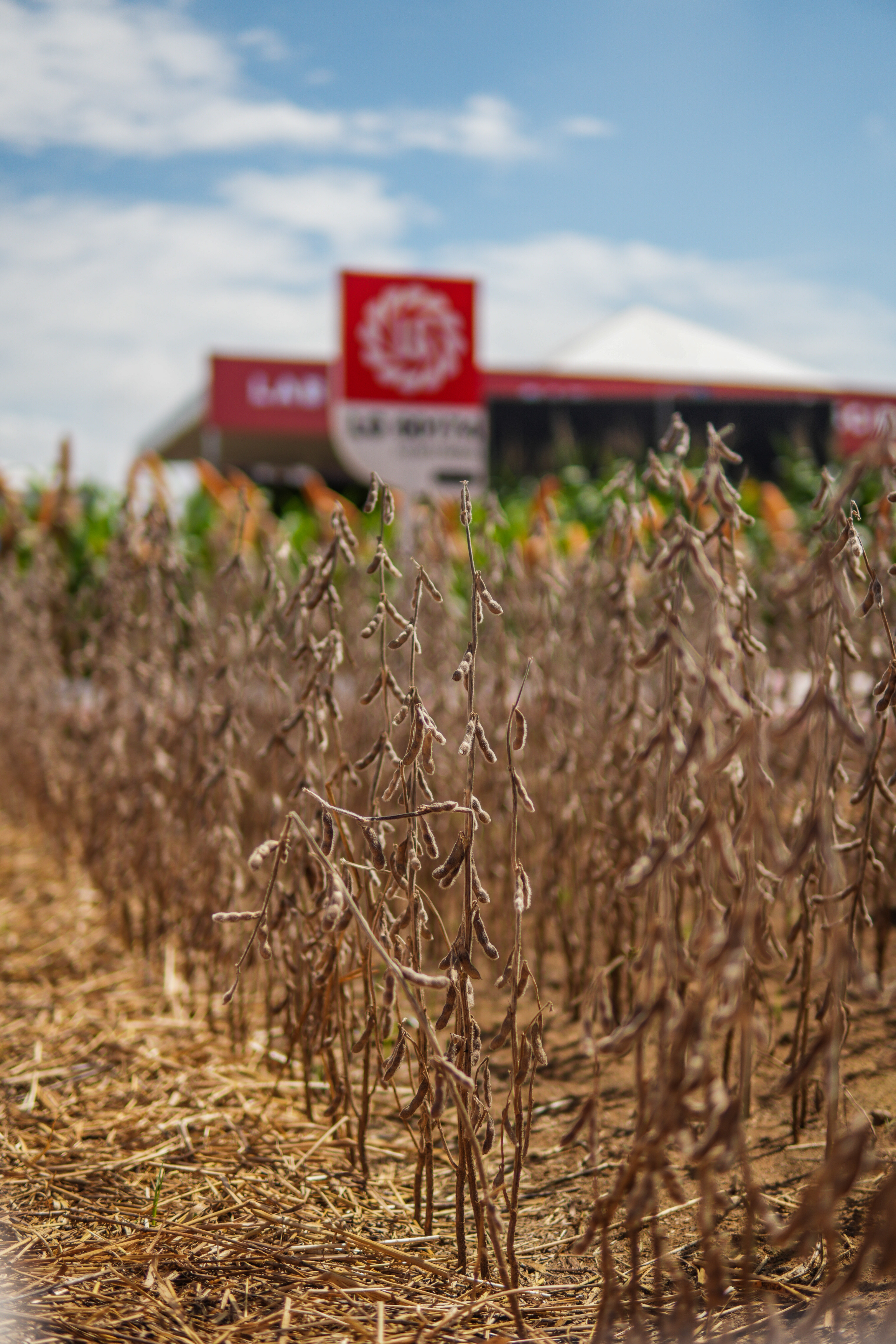 LG Sementes marcou presença na Farm Show!