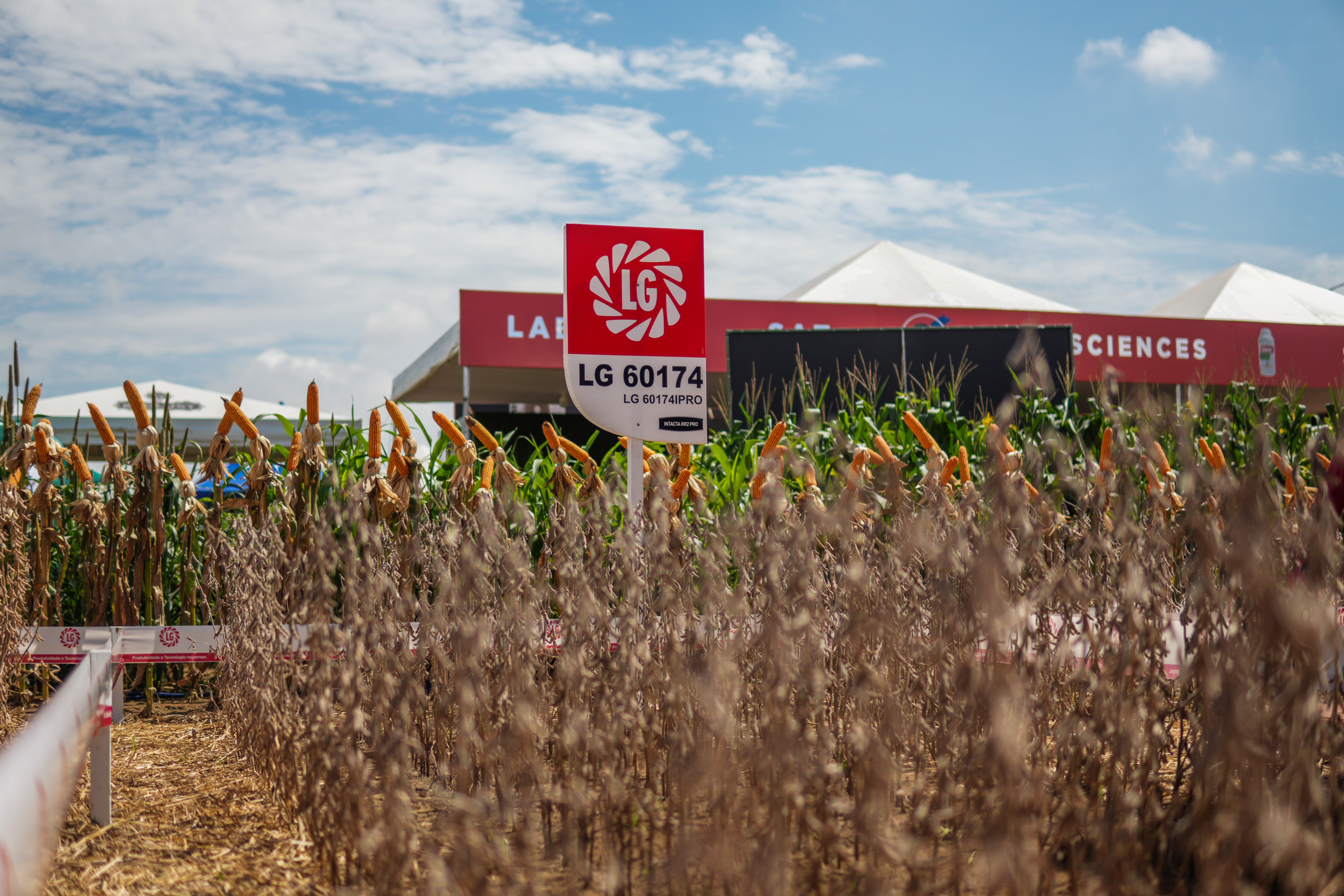 LG Sementes marcou presença na Farm Show!