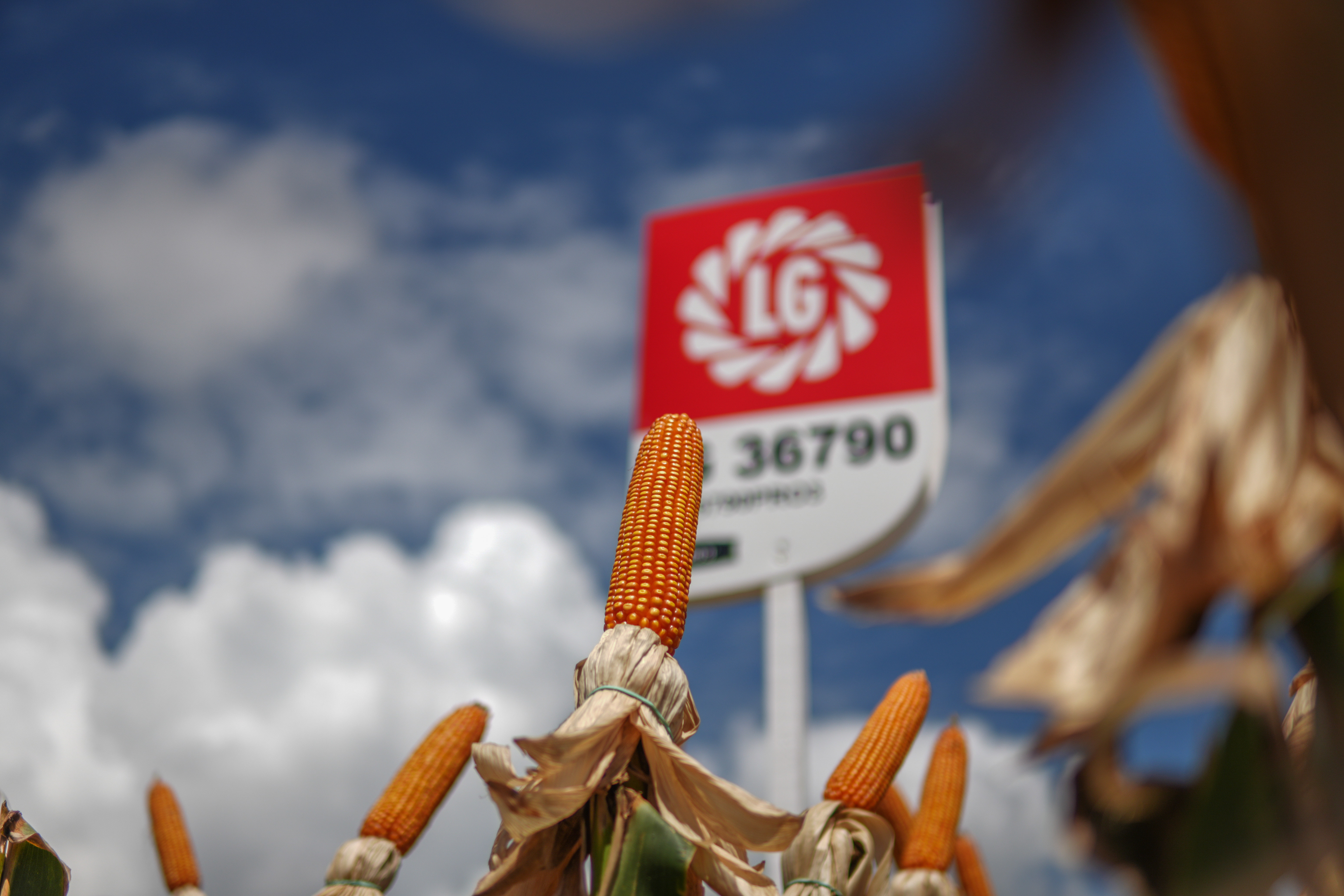 LG Sementes marcou presença na Farm Show!