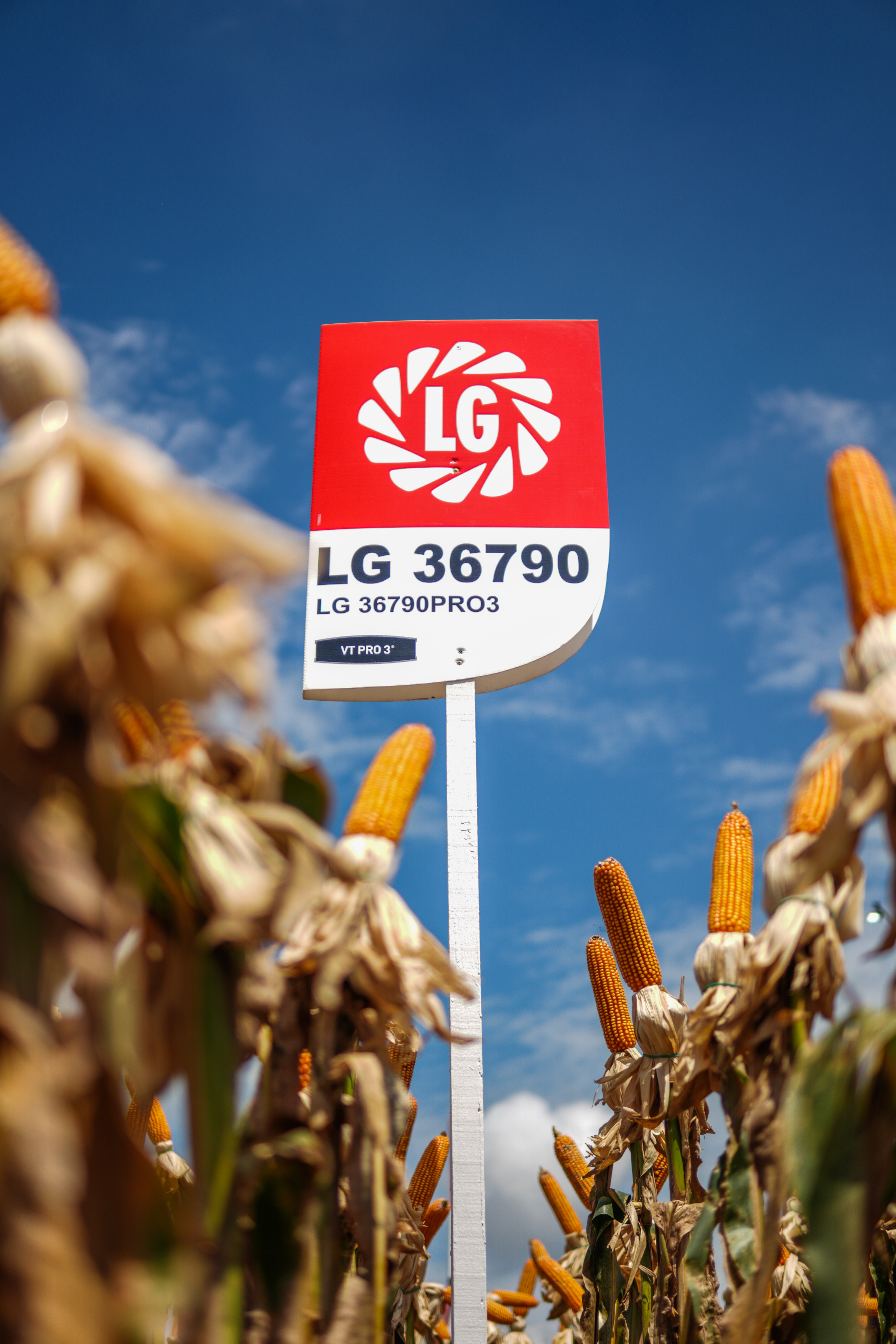 LG Sementes marcou presença na Farm Show!