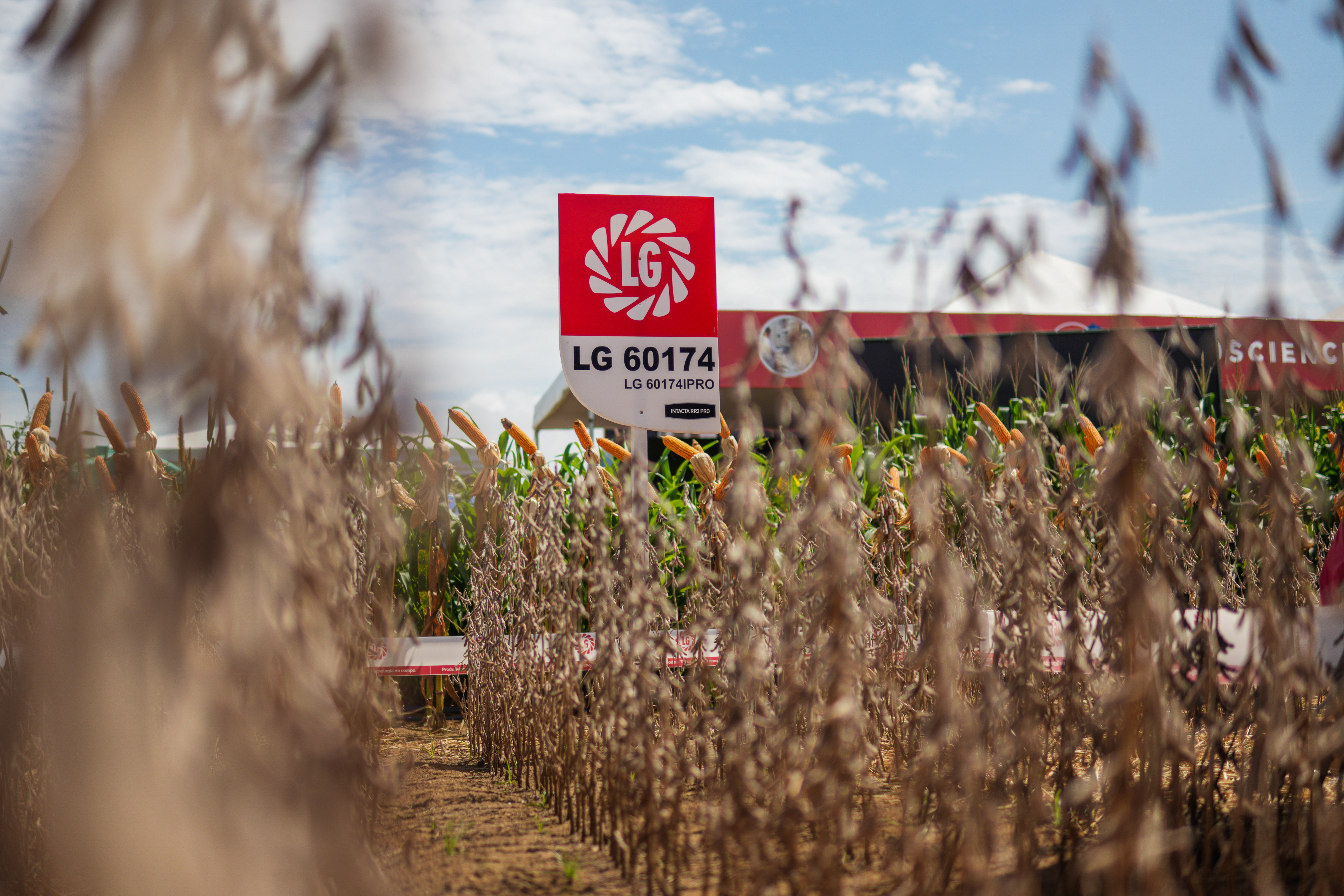 LG Sementes marcou presença na Farm Show!