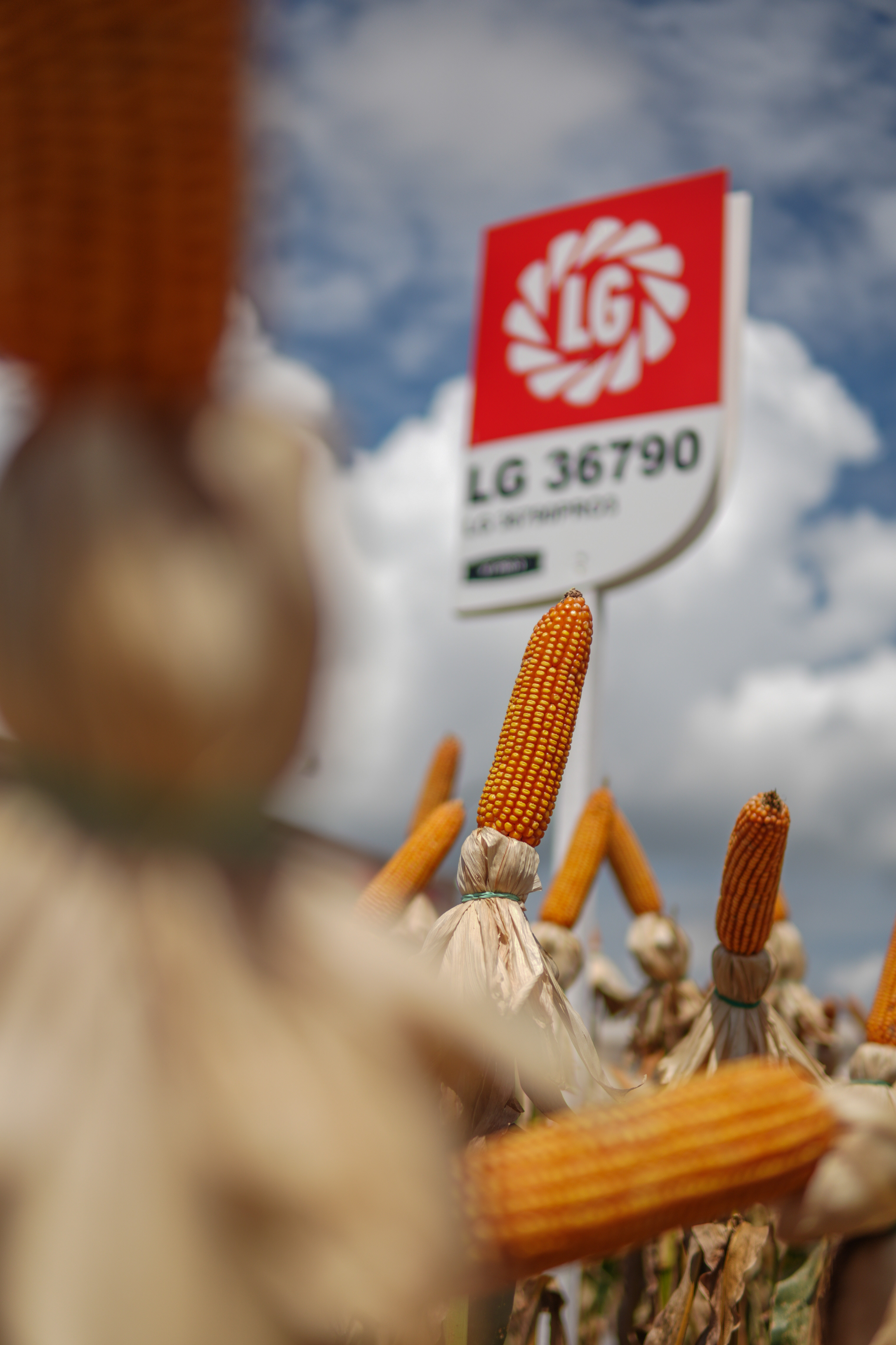 LG Sementes marcou presença na Farm Show!