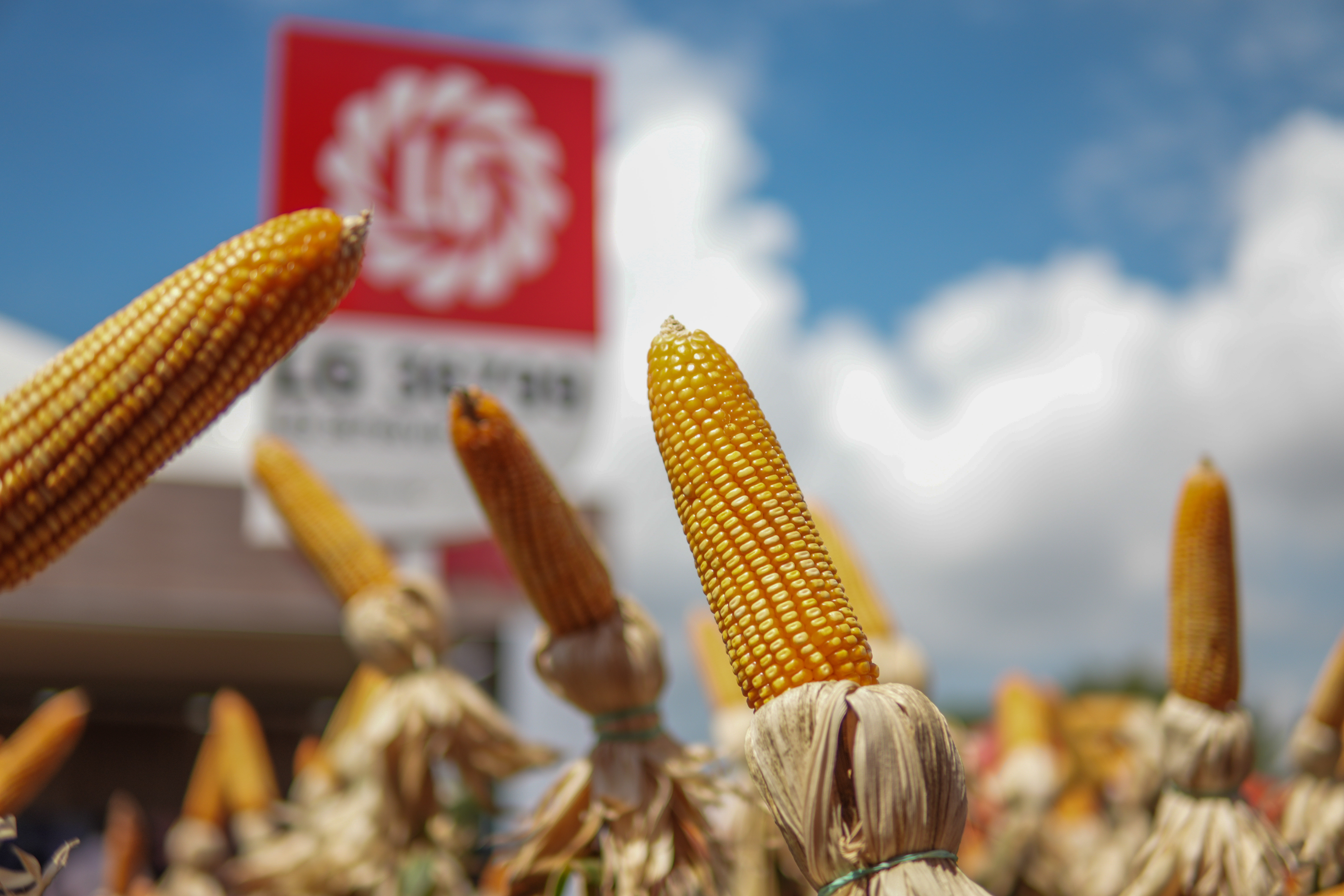 LG Sementes marcou presença na Farm Show!
