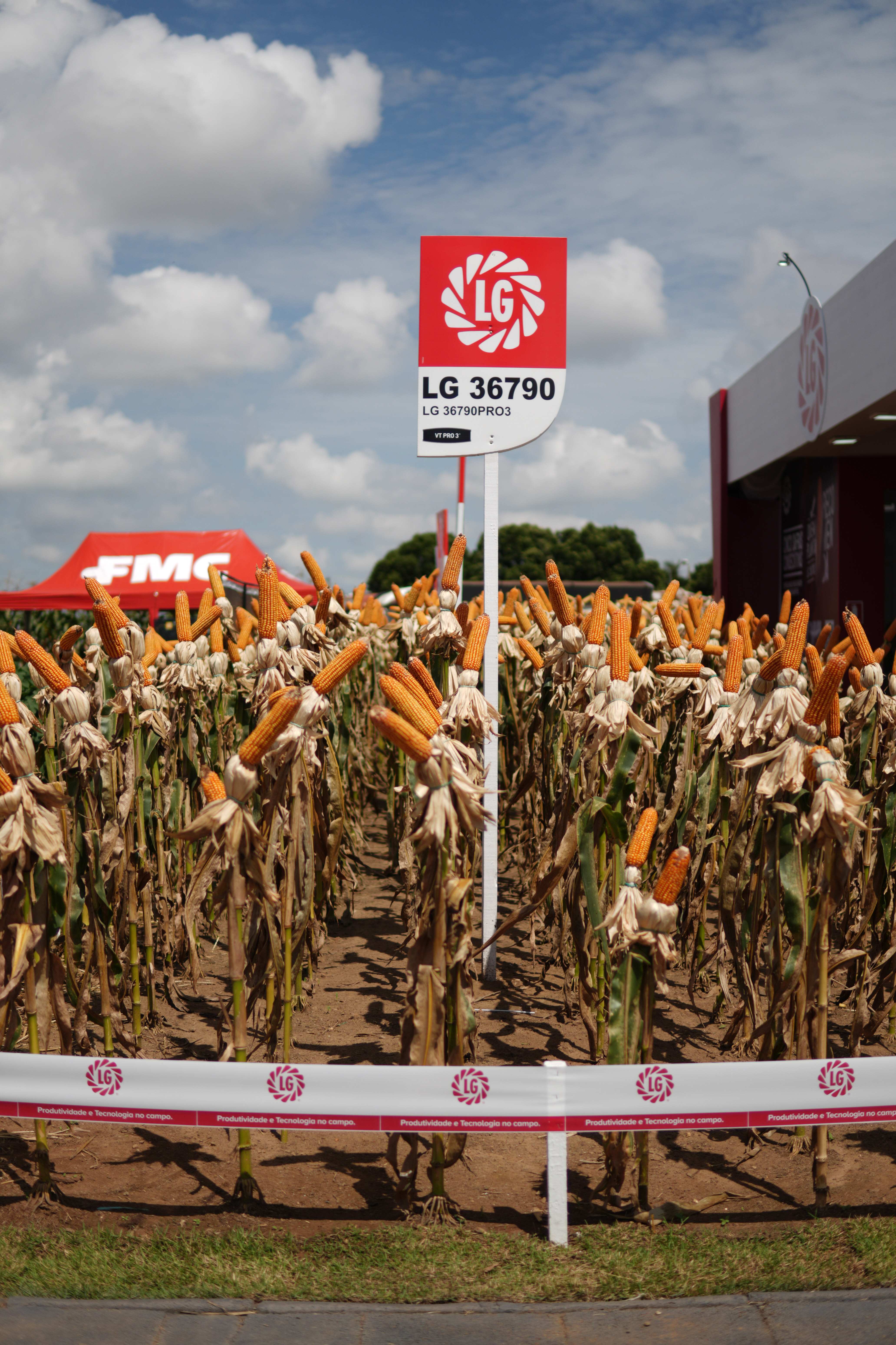 LG Sementes marcou presença na Farm Show!