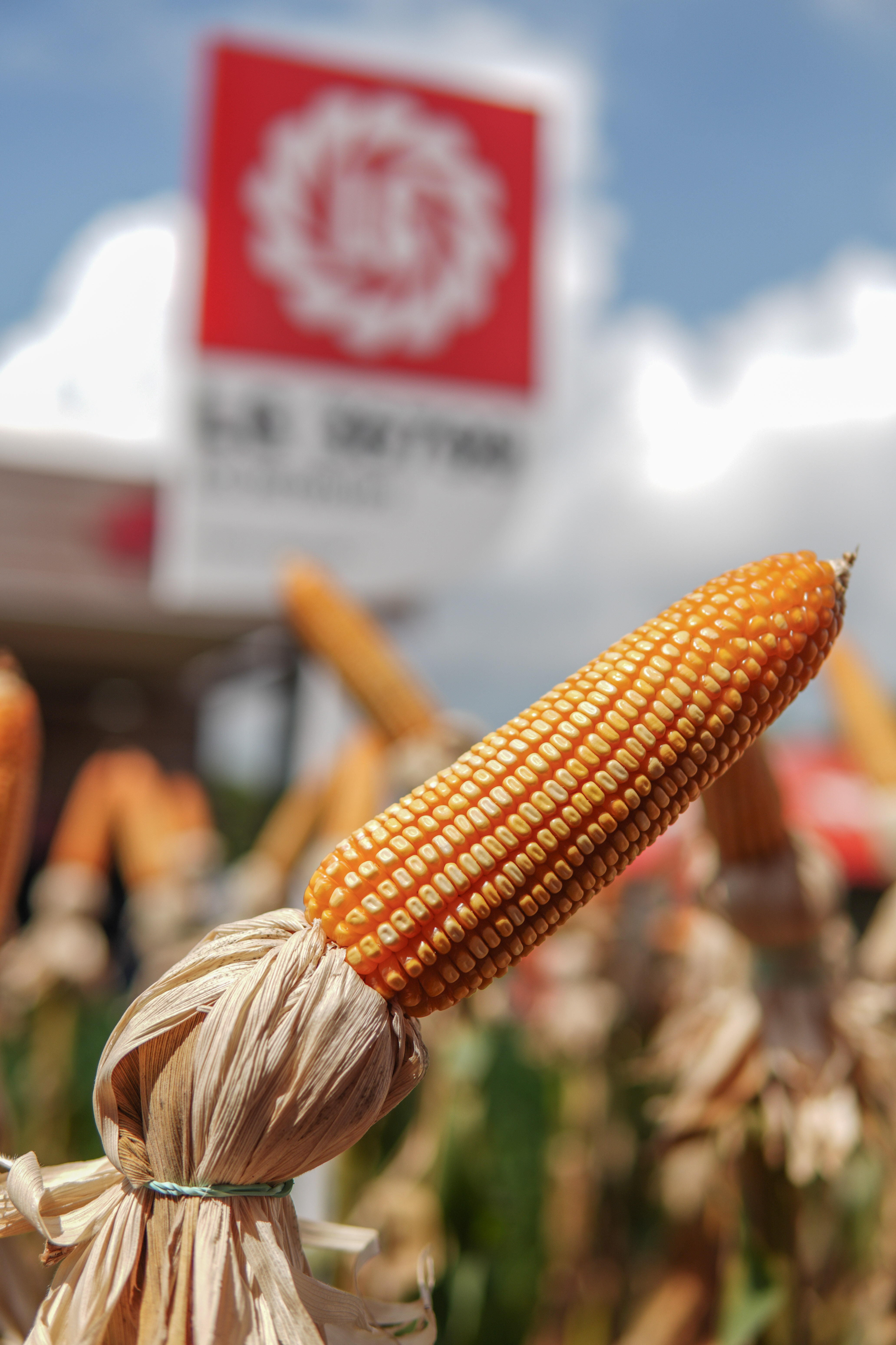LG Sementes marcou presença na Farm Show!