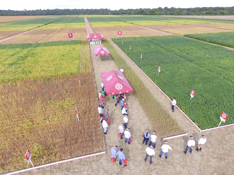 Campo Tec Soja