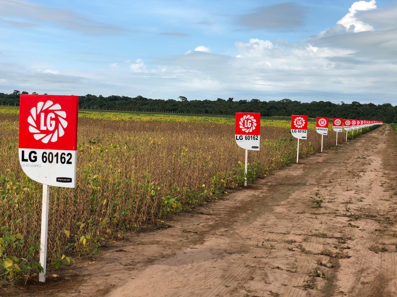 Campo Tec Soja