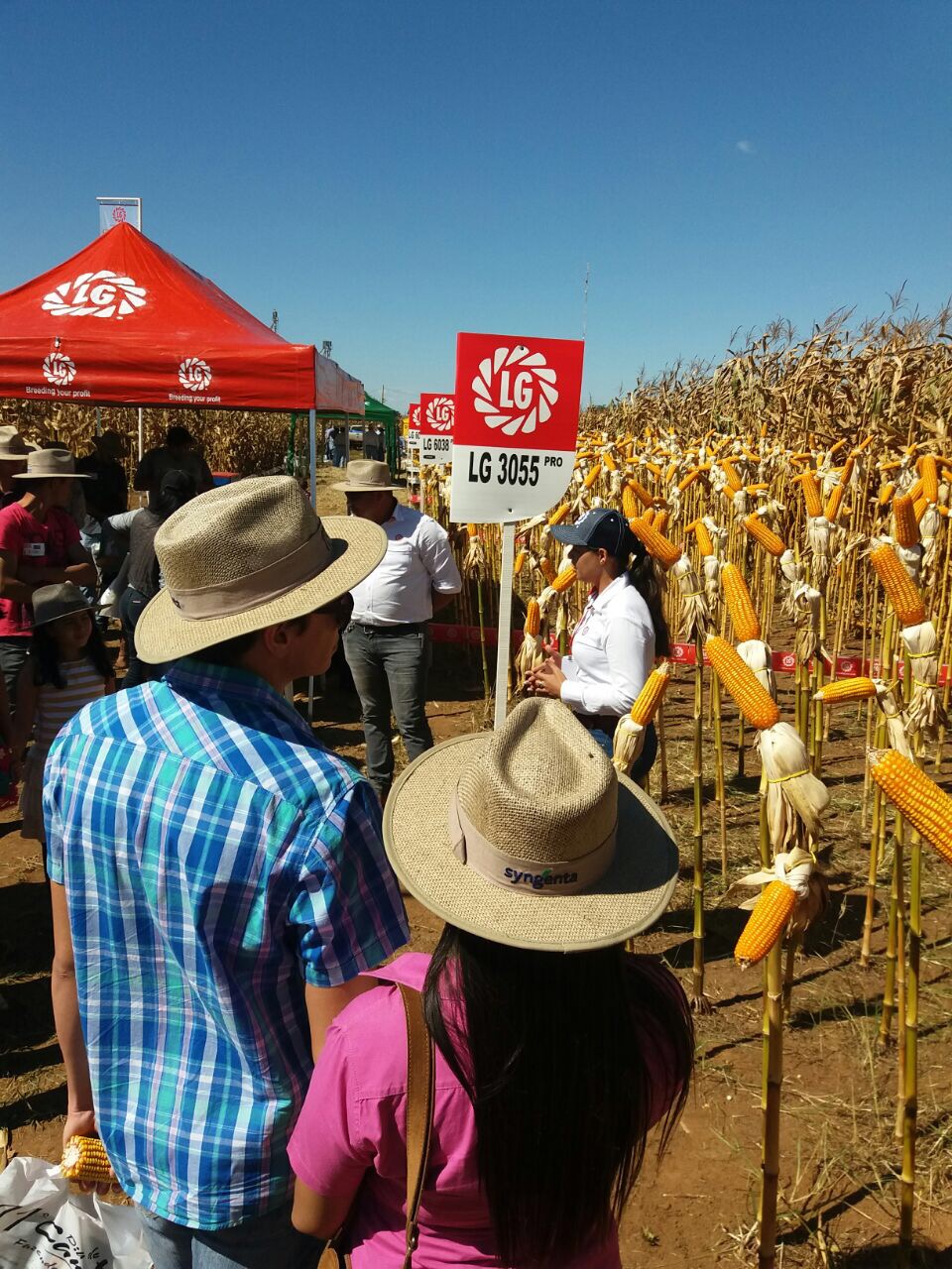 Dia de Campo em Montividiu-GO